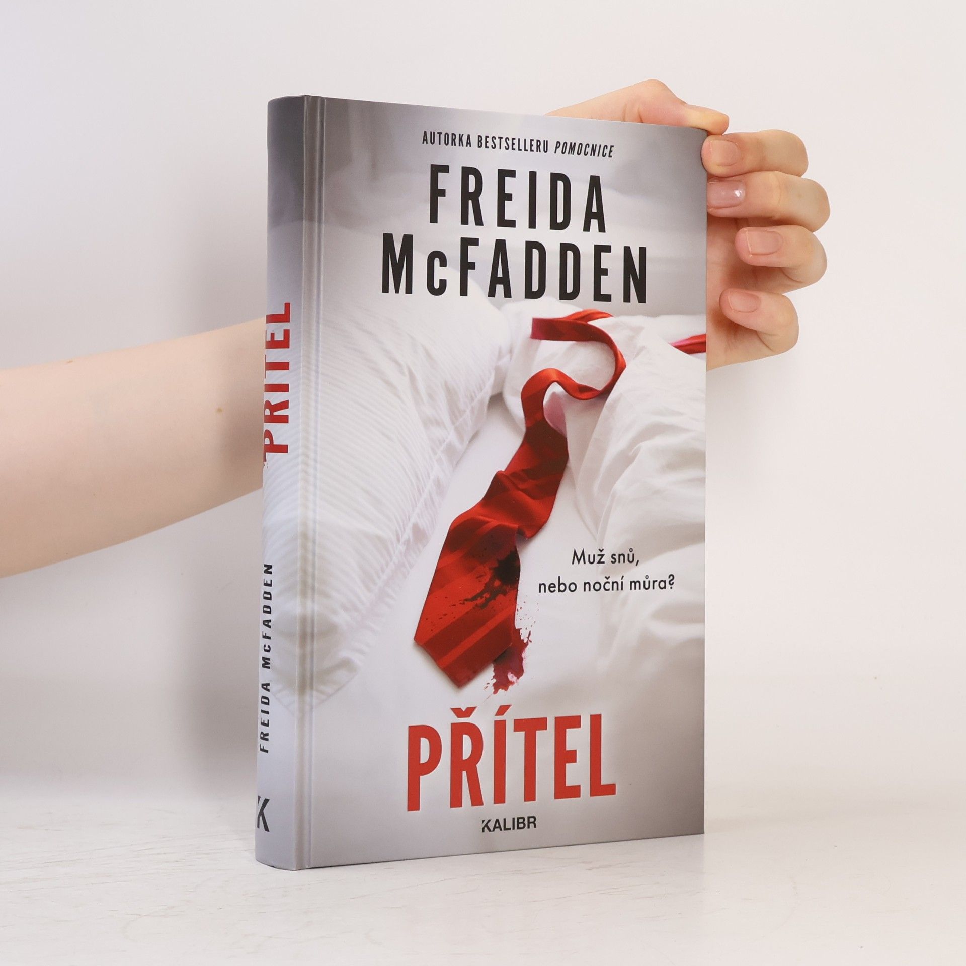 Freida McFaddenová Přítel