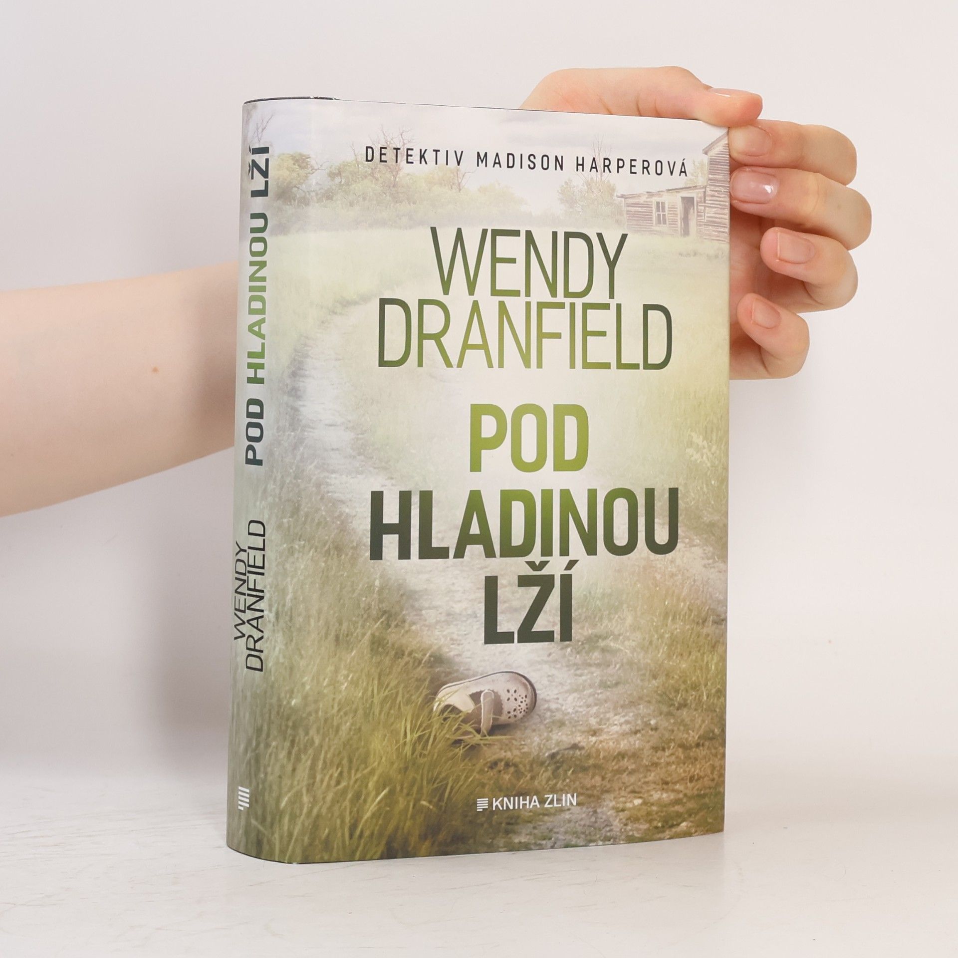 Wendy Dranfield Pod hladinou lží