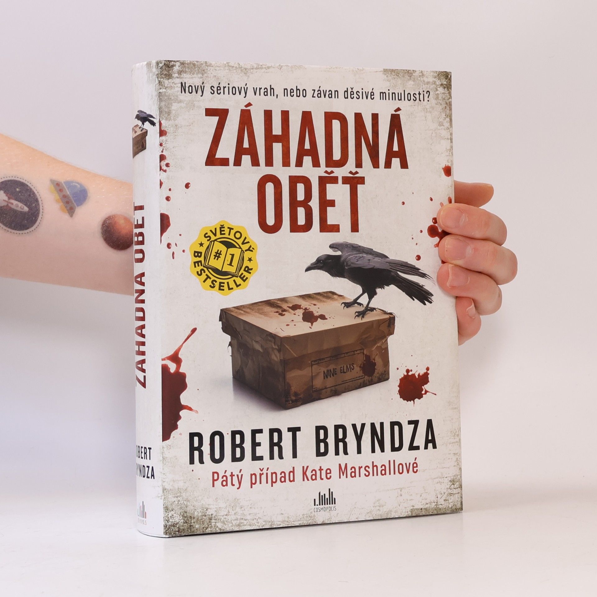 Robert Bryndza Záhadná oběť