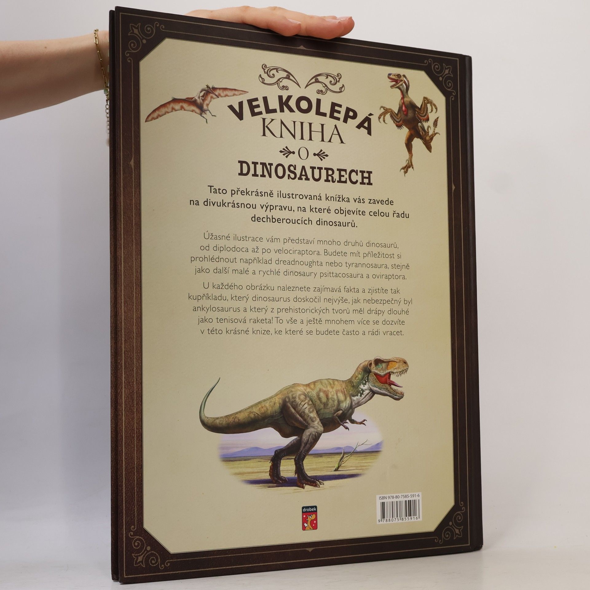 Tom Jackson Velkolepá kniha o dinosaurech