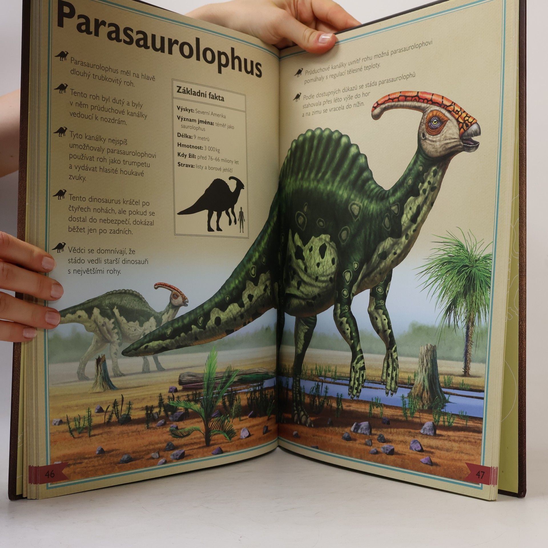 Tom Jackson Velkolepá kniha o dinosaurech