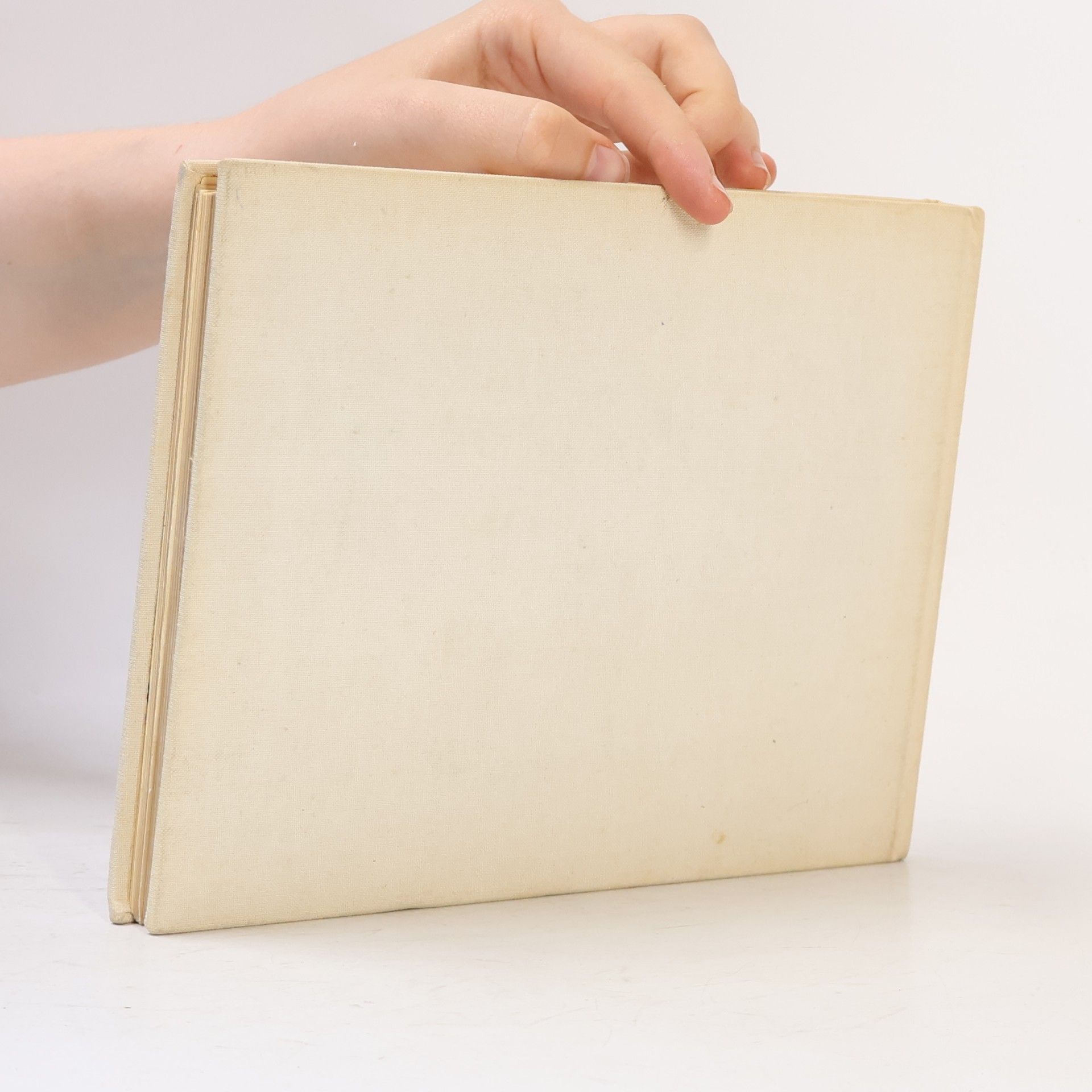 Evžen Škňouřil Historie a vývoj obchodní námořní lodě