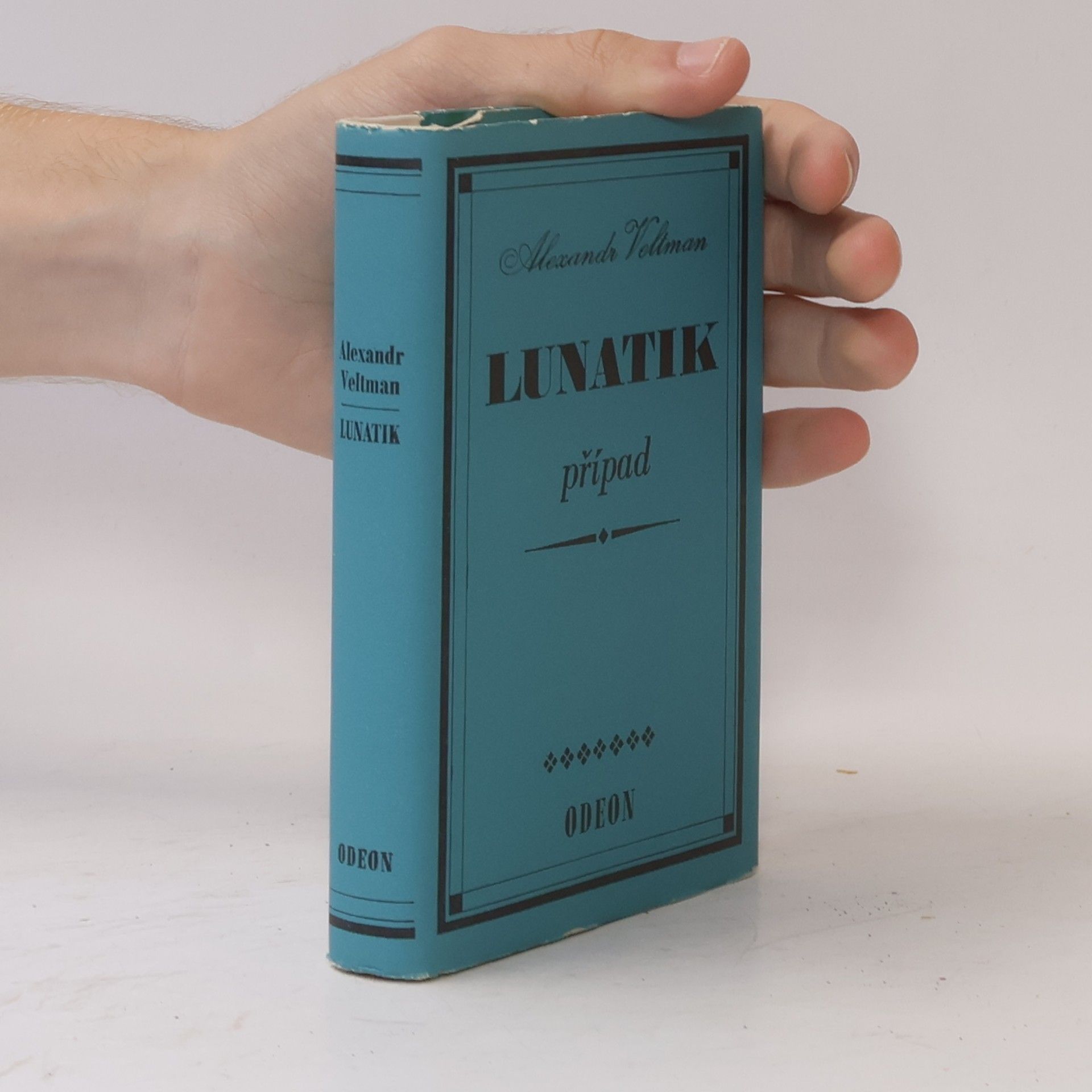 Kolektiv autorů Lunatik. Případ