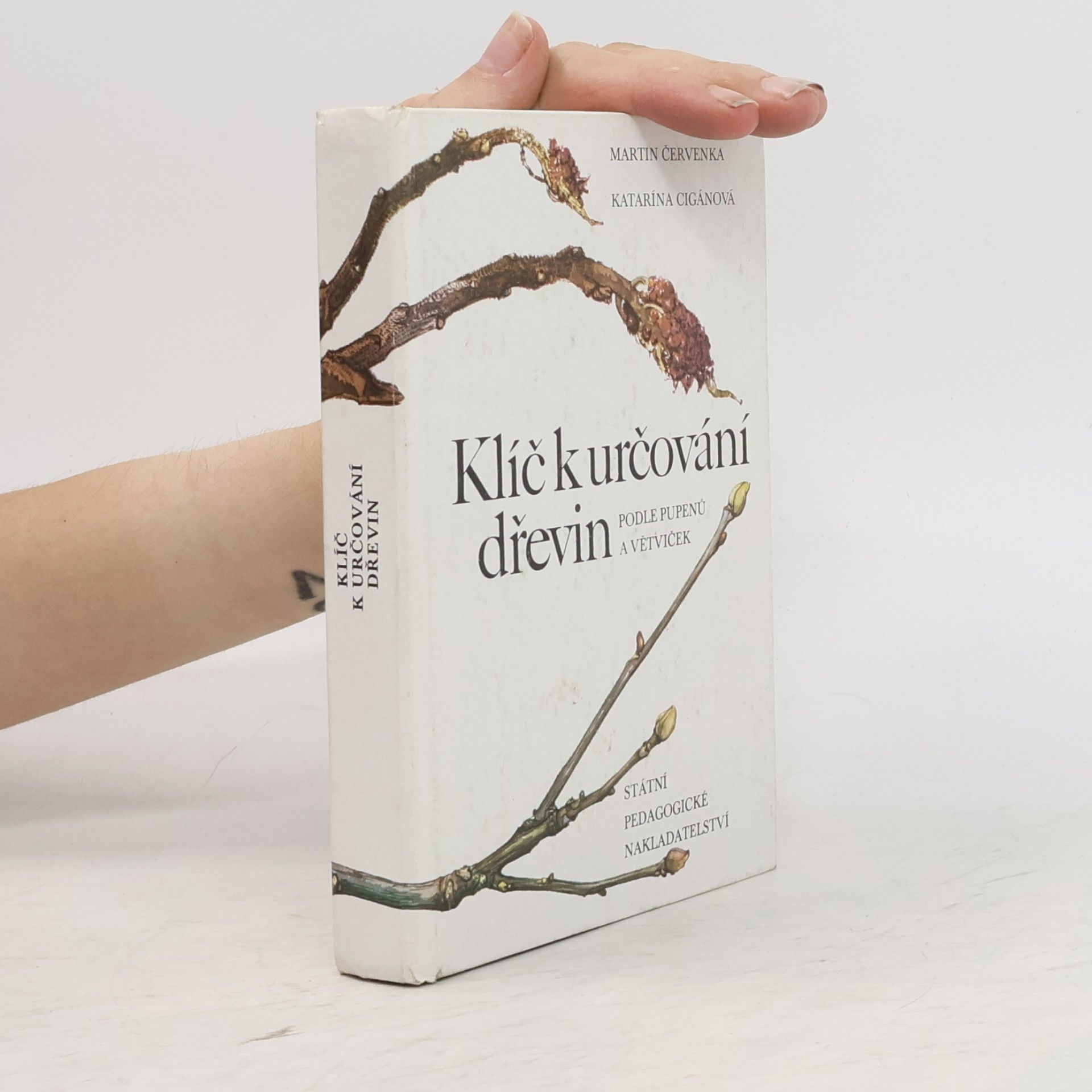 Katarína Cigánová Klíč k určování dřevin podle pupenů a větviček
