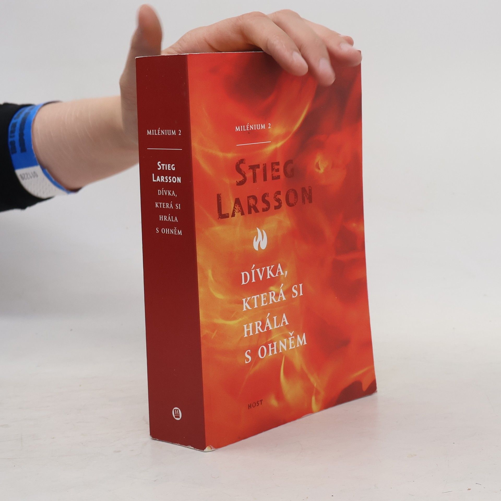 Stieg Larsson Dívka, která si hrála s ohněm
