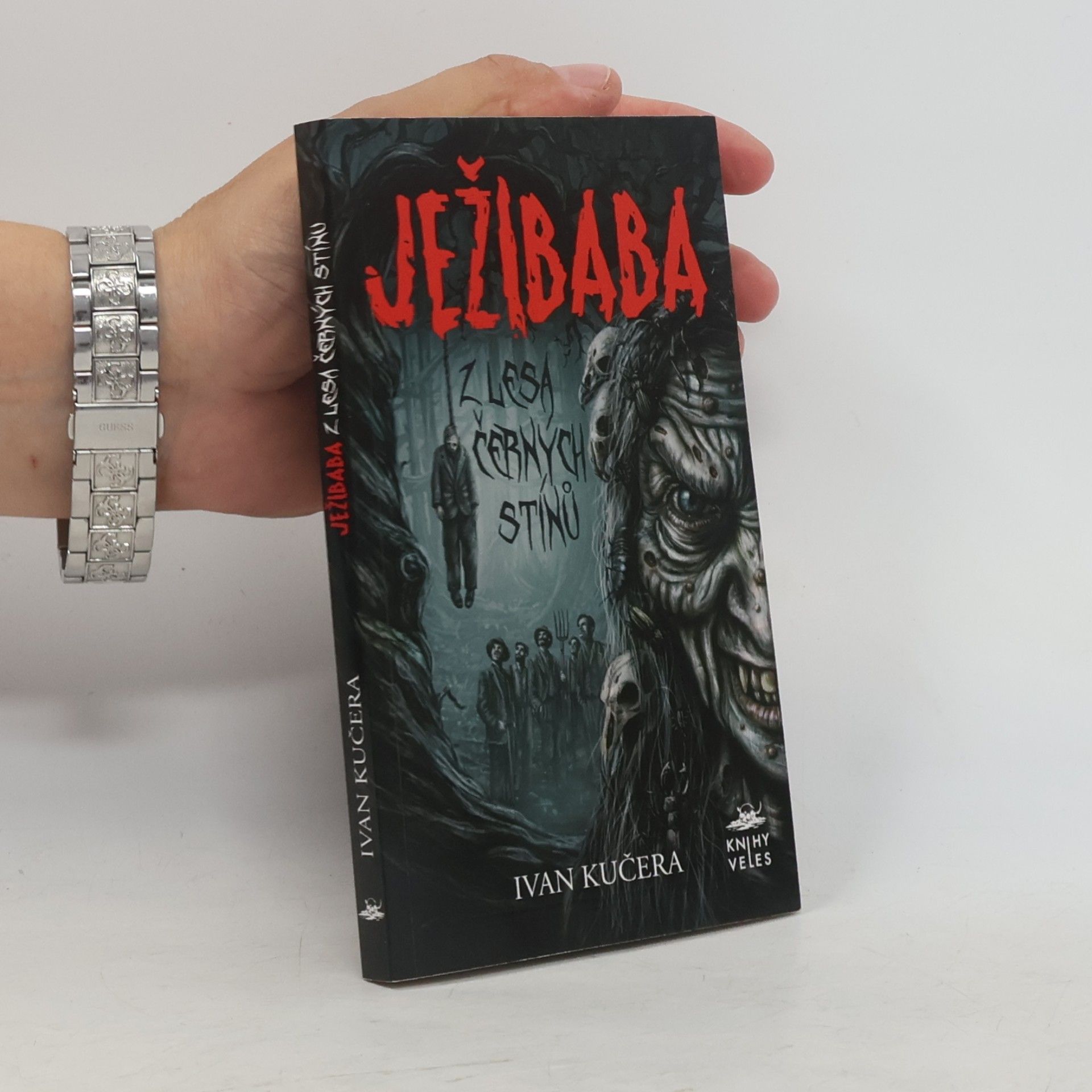 Ivan Kučera Ježibaba z Lesa černých stínů