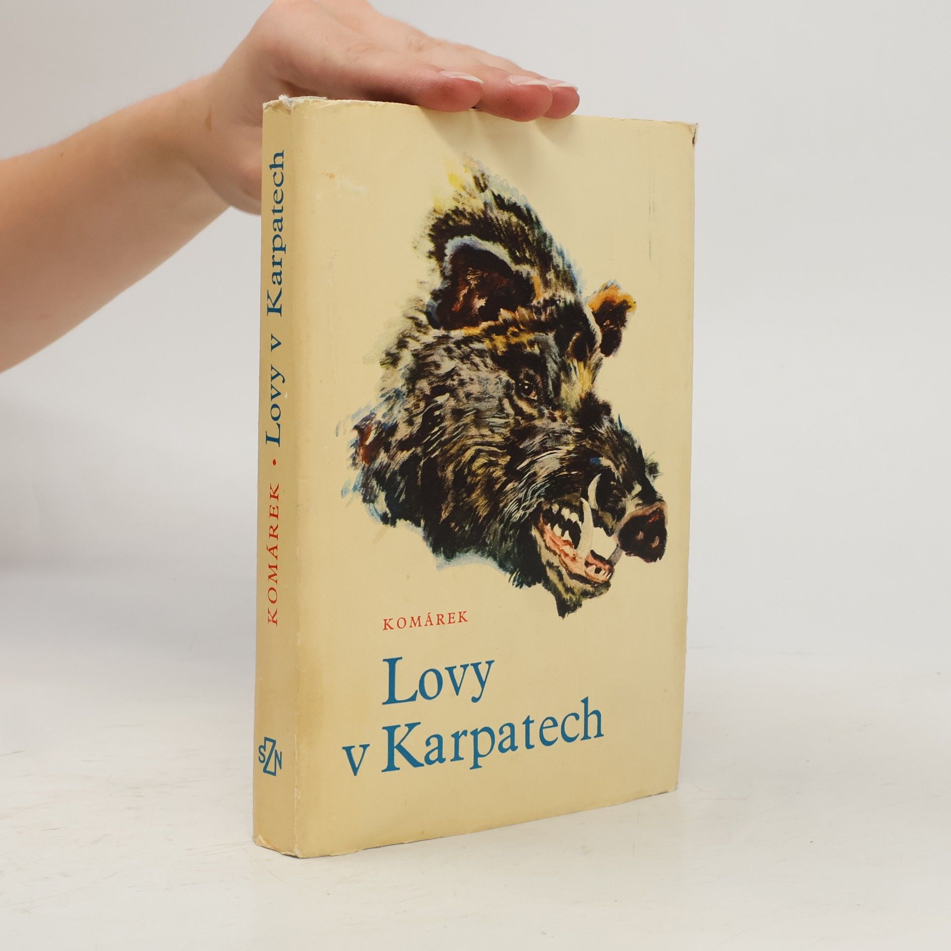 Lovy v Karpatech