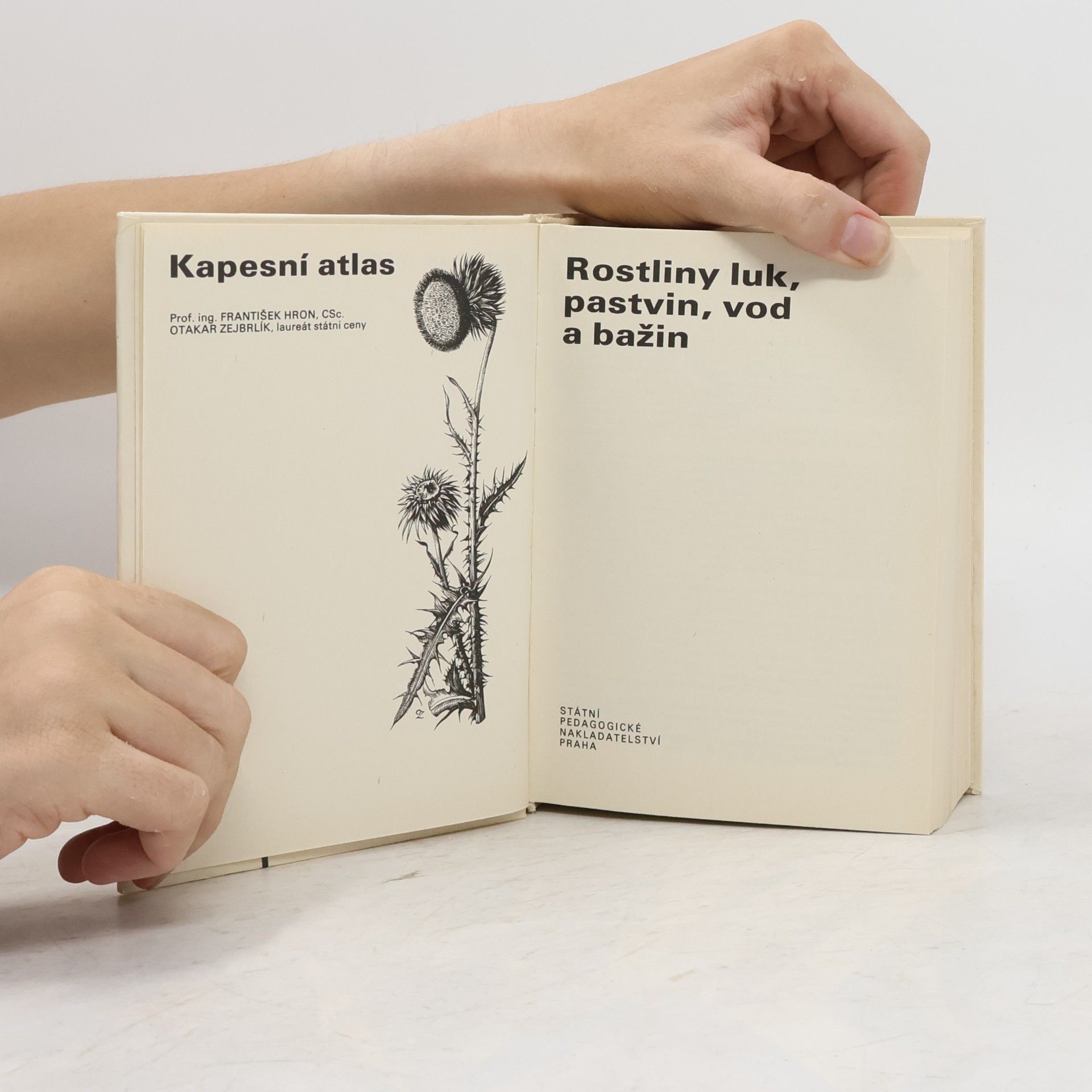 Otakar Zejbrlík Rostliny luk, pastvin, vod a bažin. Kapesní atlas
