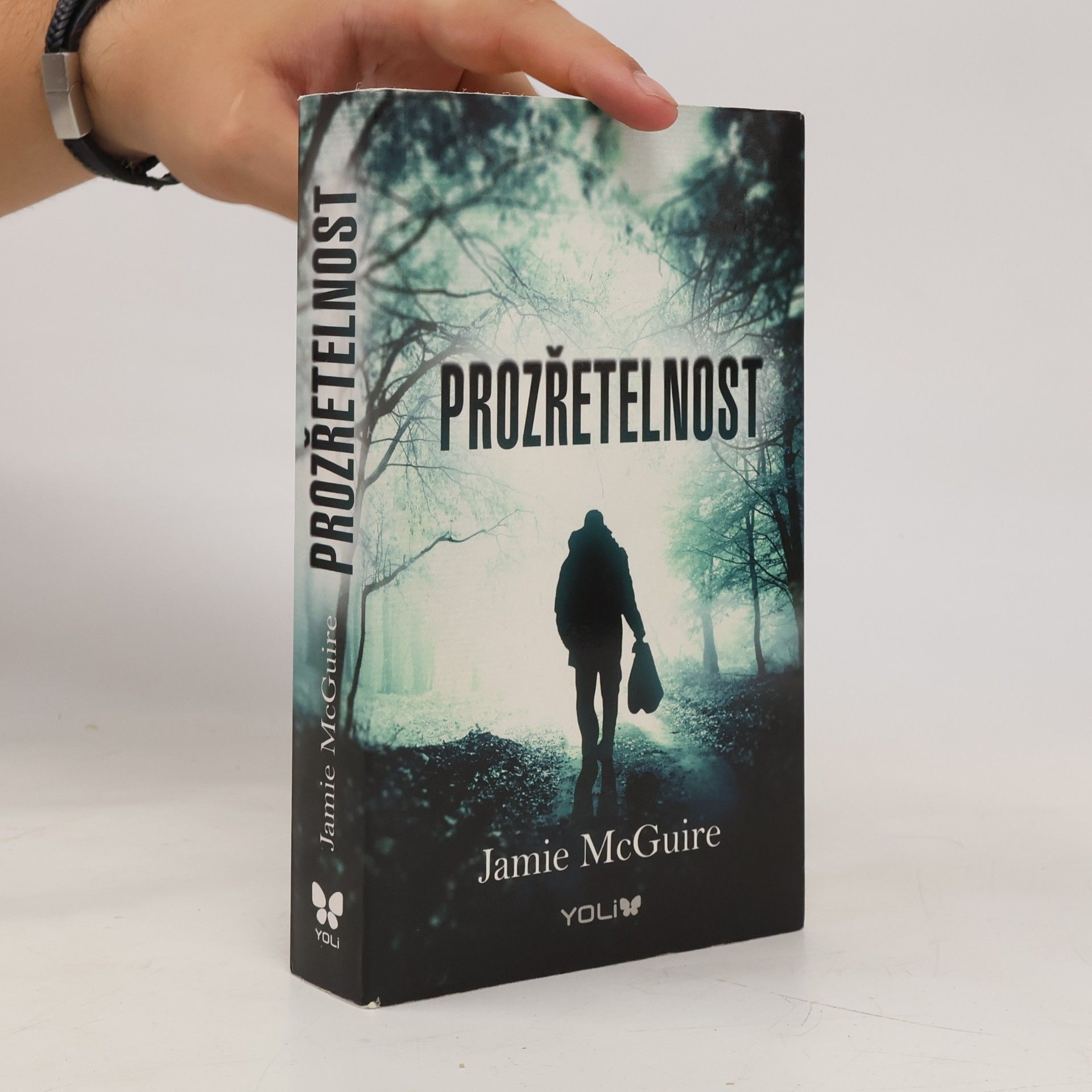 Jamie McGuire Prozřetelnost