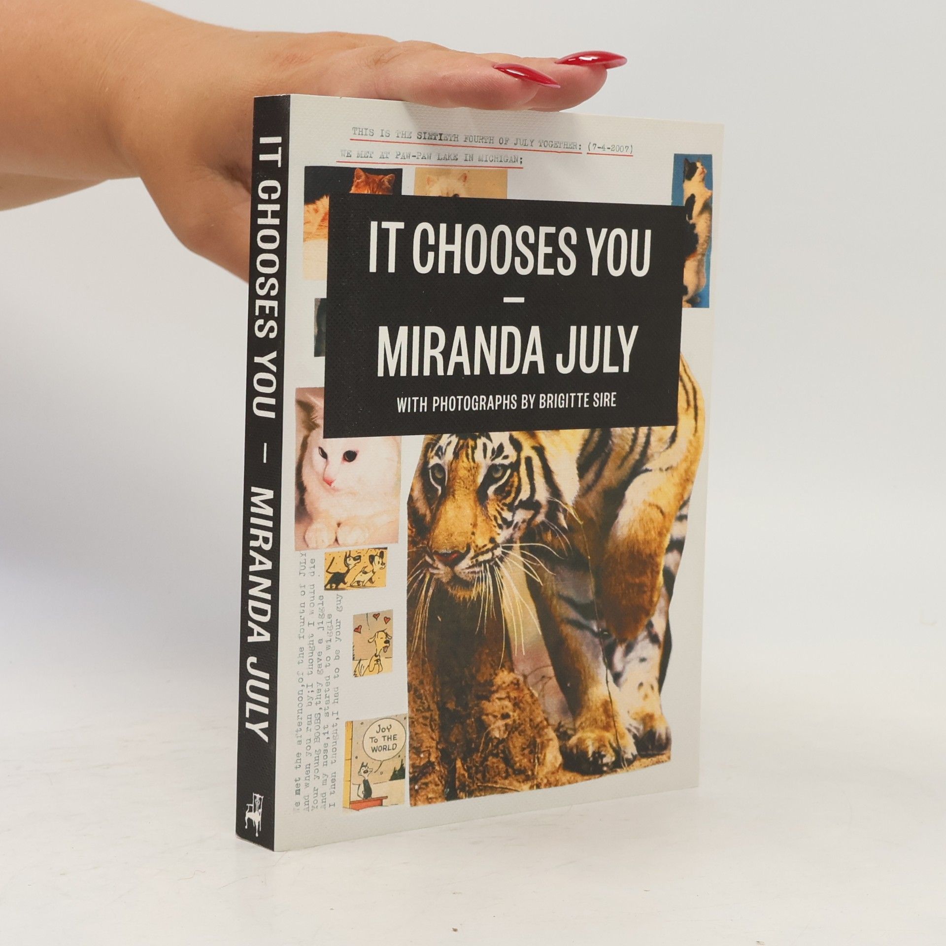 Miranda July It Chooses You