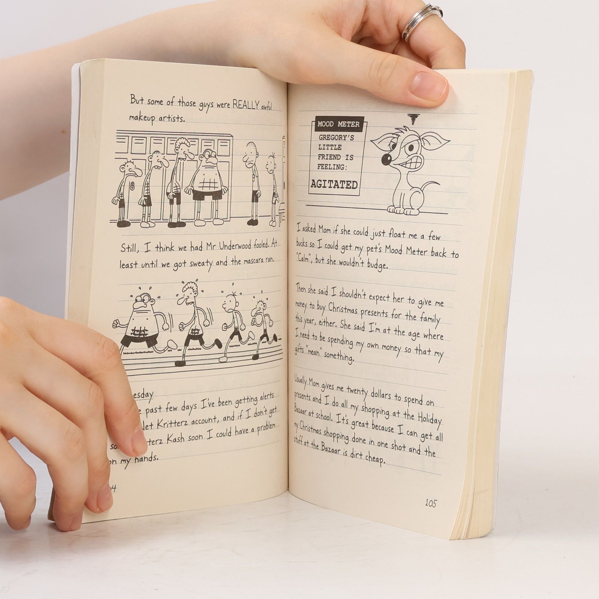 Jeff Kinney Diary of a Wimpy Kid. Cabin Fever