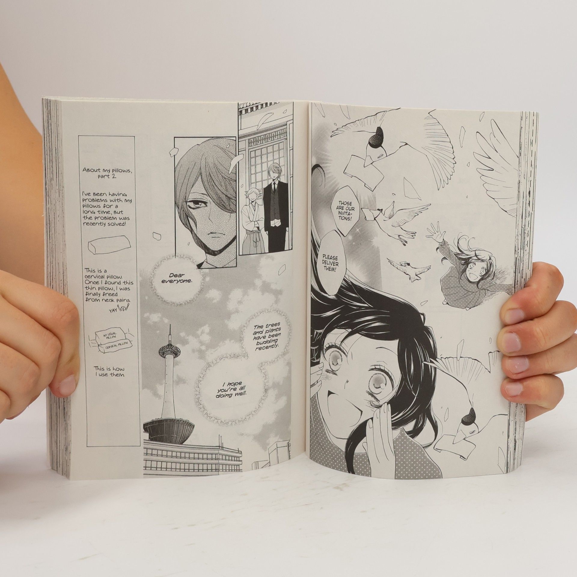 Julietta Suzuki Kamisama Kiss, Vol. 25