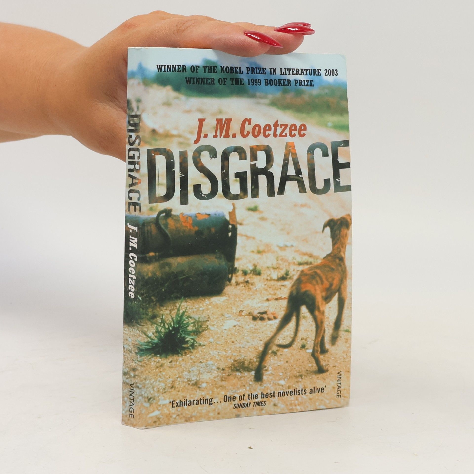 John Maxwell Coetzee Disgrace