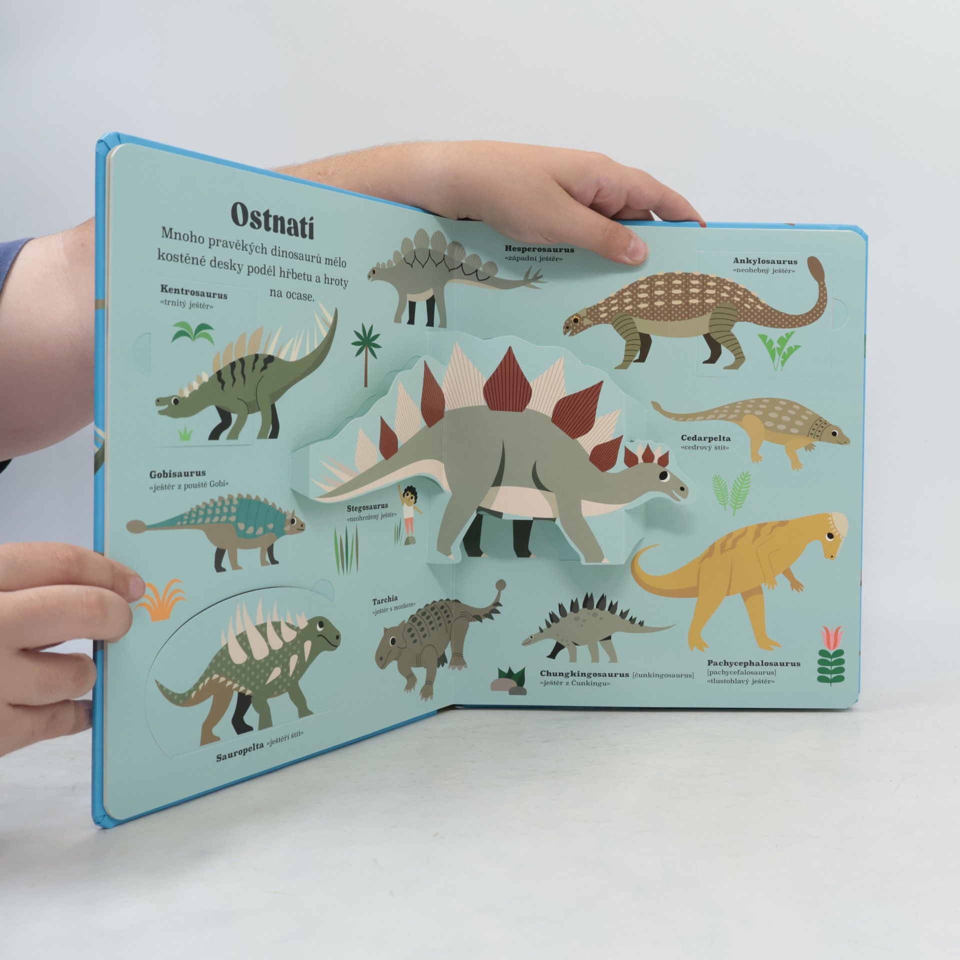 Ingela Peterson Arrhenius Dinosauři : moje první encyklopedie dinosaurů