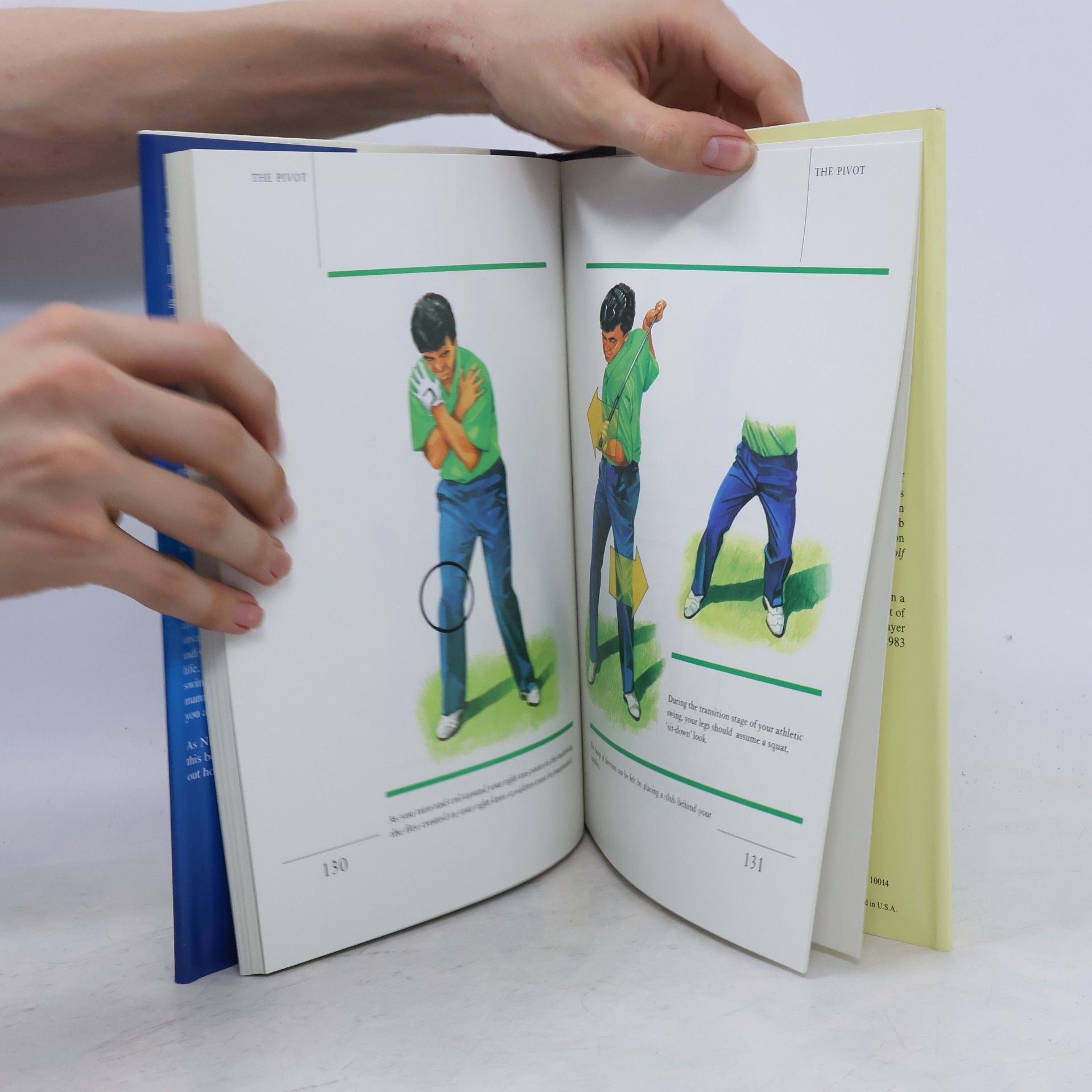 David Leadbetter The Golf Swing