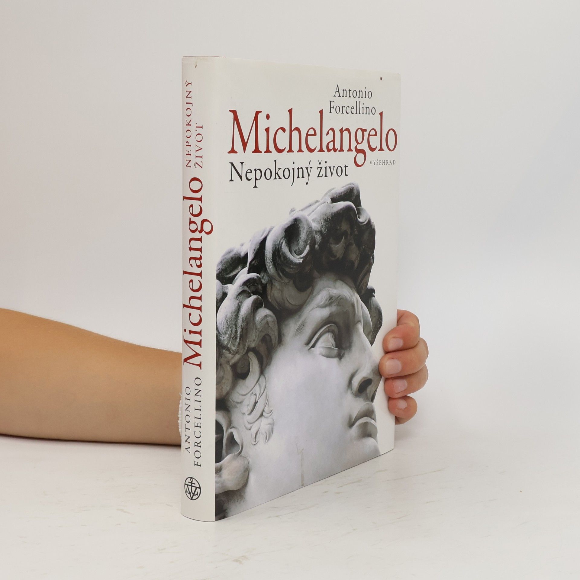 Antonio Forcellino Michelangelo: Nepokojný život