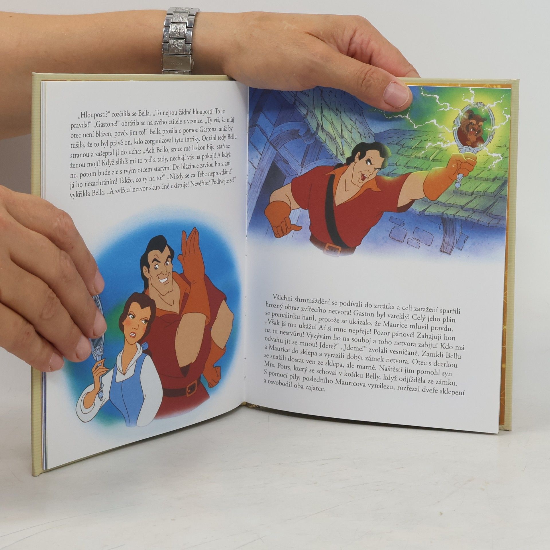 Various authors Zlatá sbírka pohádek 19. Kráska a zvíře