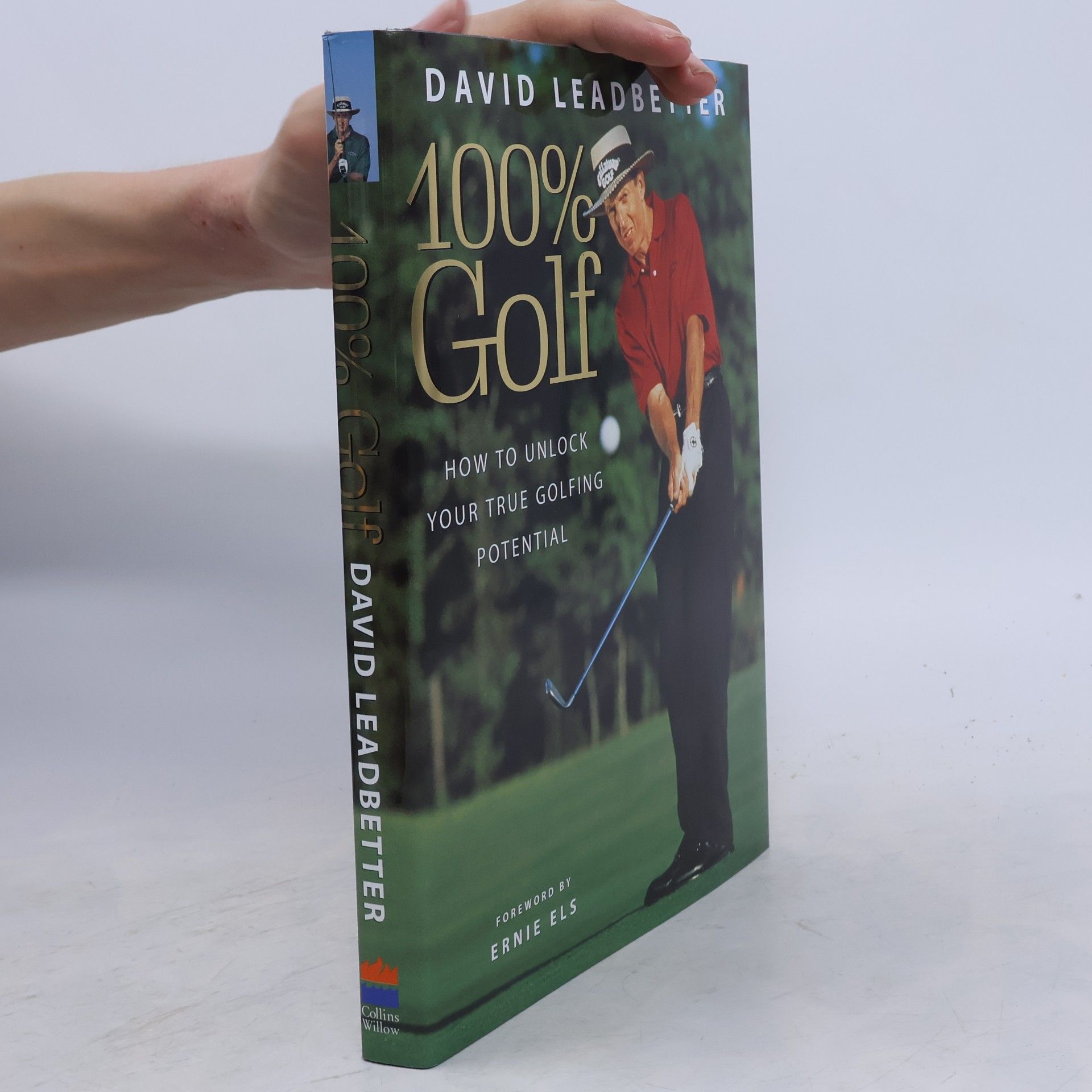 Ernie Els 100% Golf