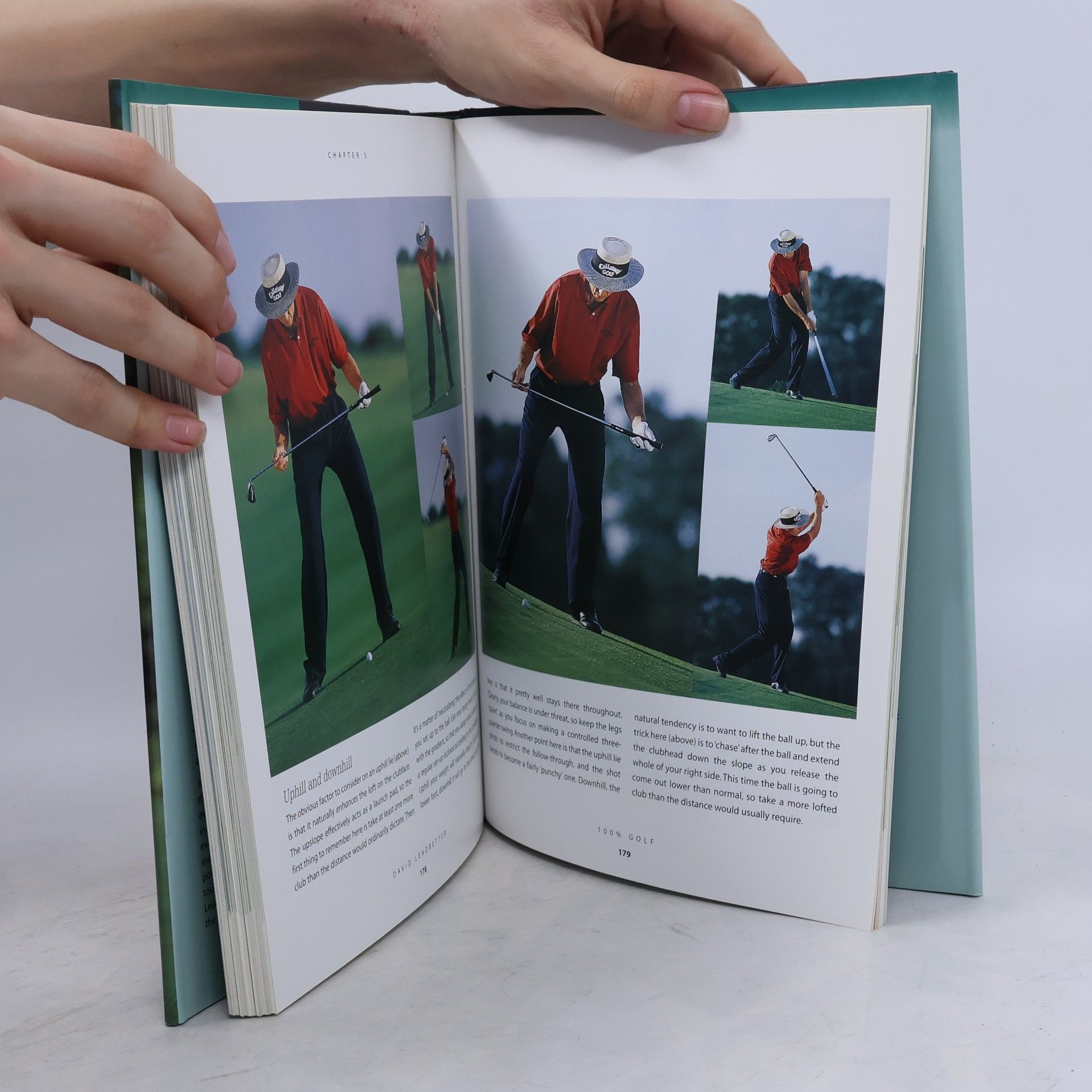 David Leadbetter 100% Golf