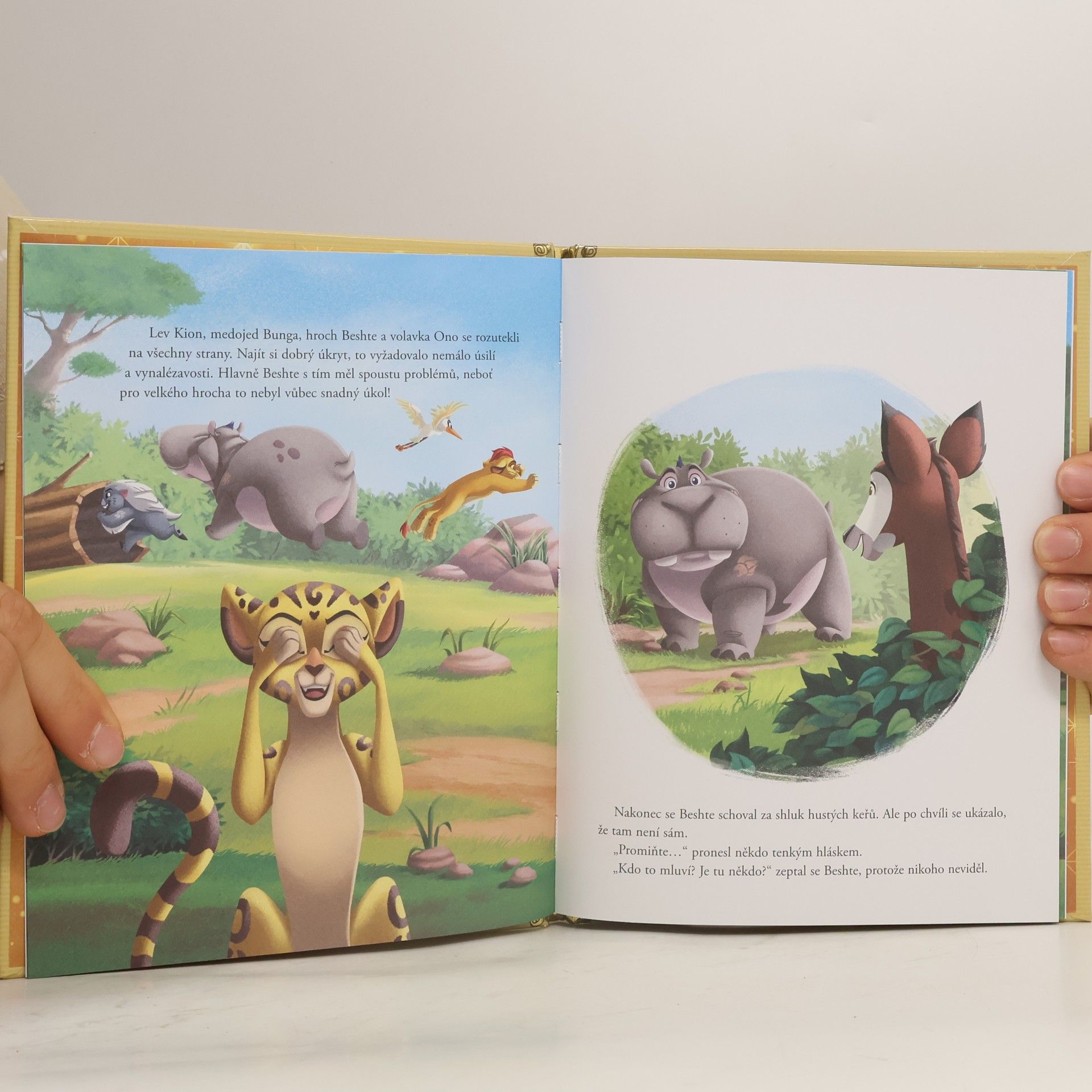 Walt Disney Lví hlídka: Imaginární okapi