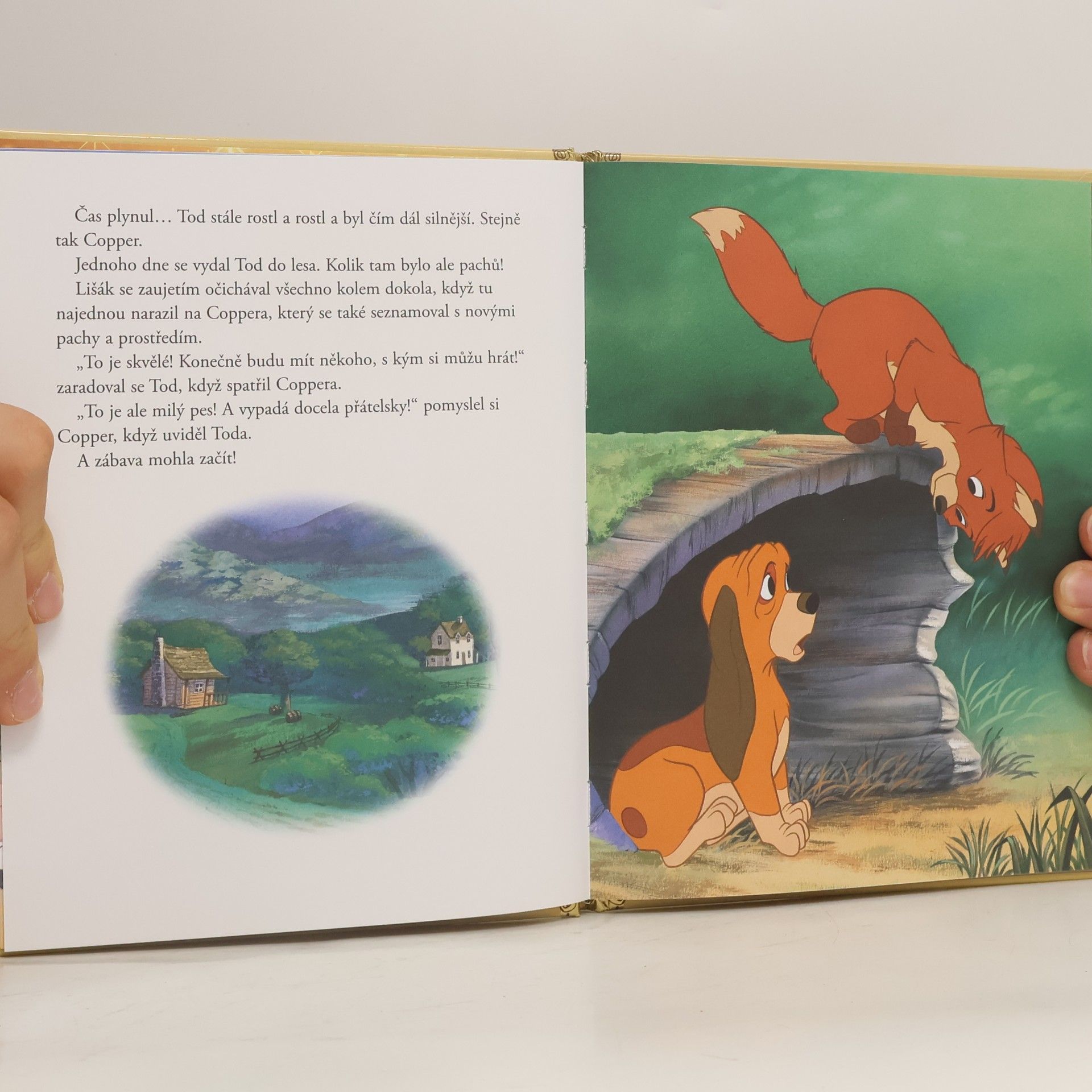 Various authors Zlatá sbírka pohádek 148. Liška a pes. Začátek přátelství