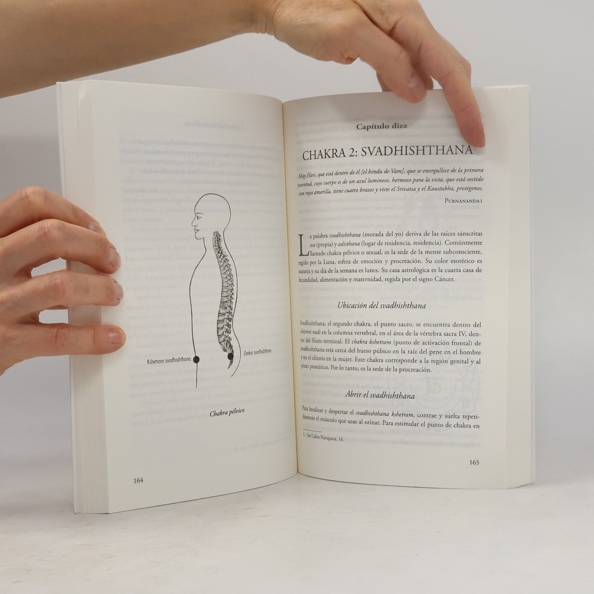 Susan G. Shumsky Salud y vida natural: El gran libro de los chakras y la curación a través de los chakras