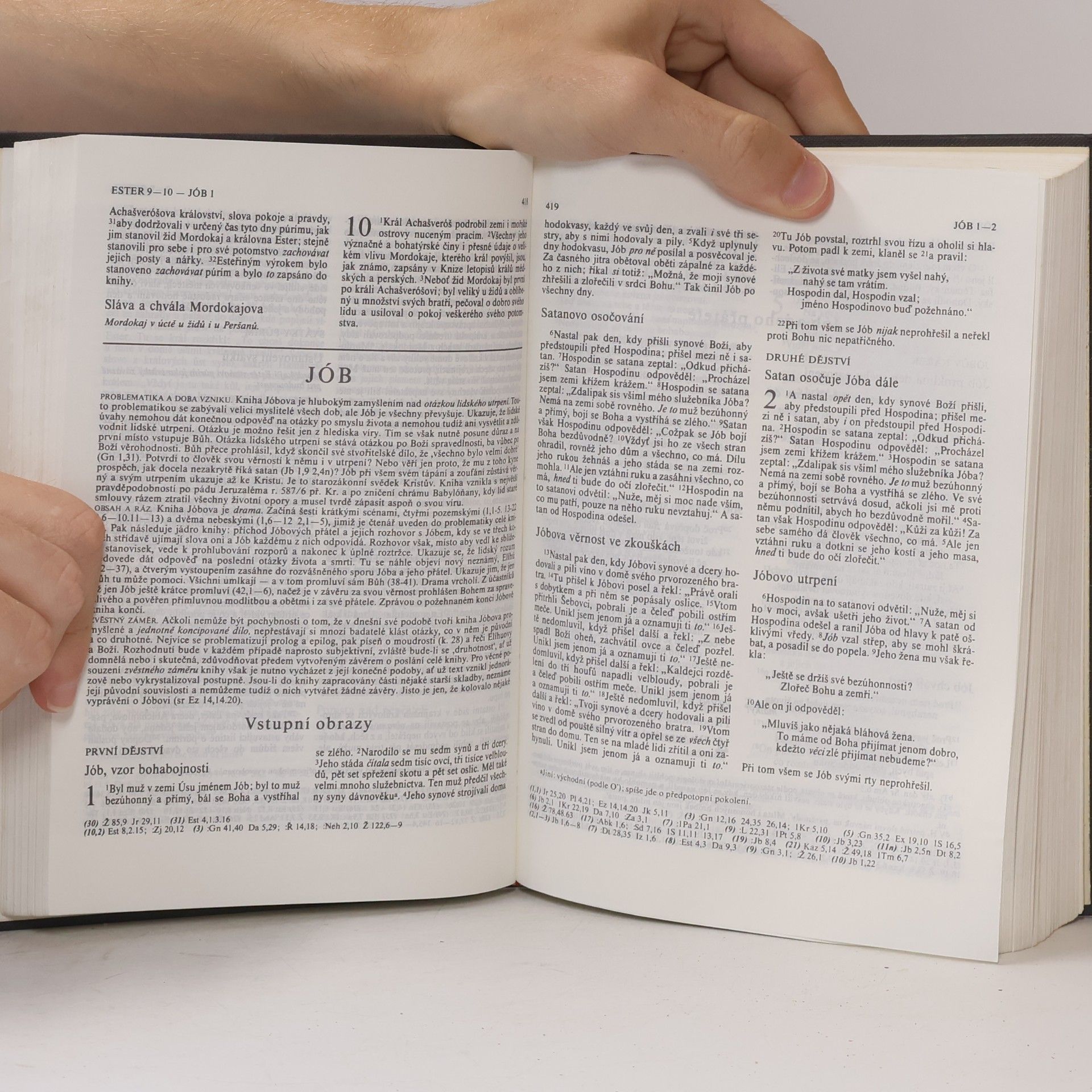 Autorenkollektiv Bible. Písmo svaté Starého a Nového zákona