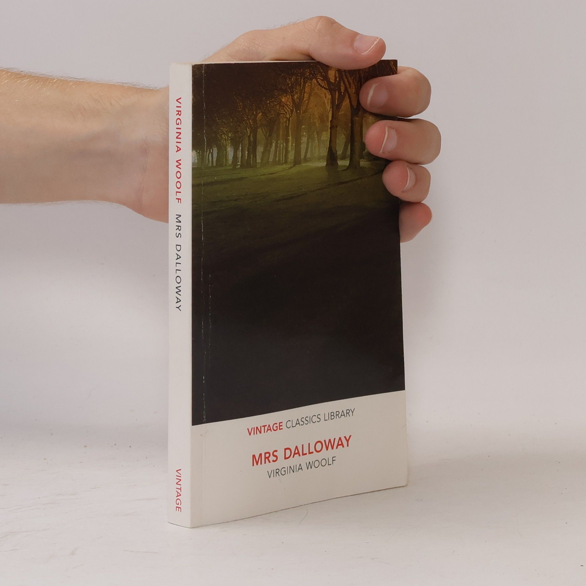 Virginia Woolf Mrs Dalloway