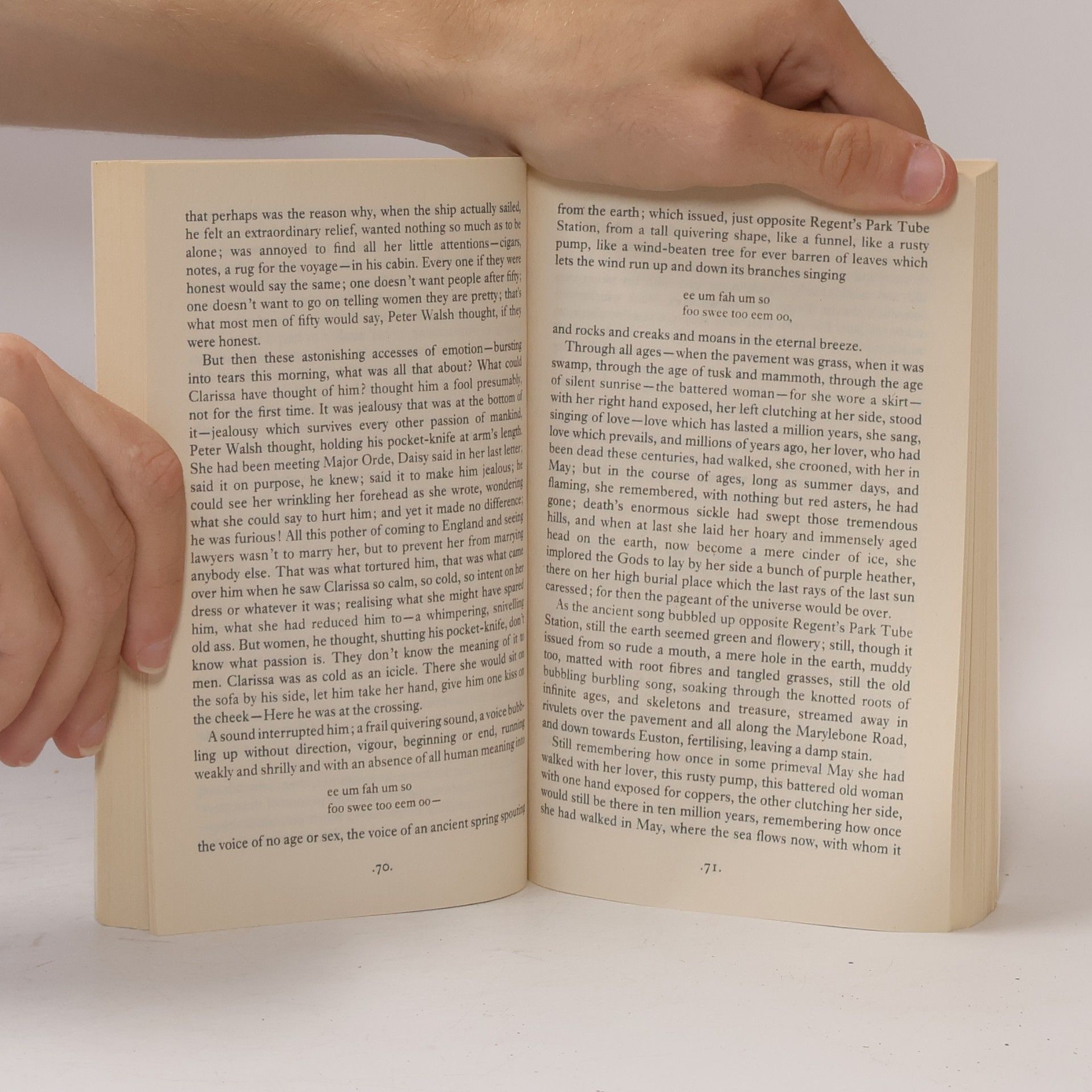 Virginia Woolf Mrs Dalloway