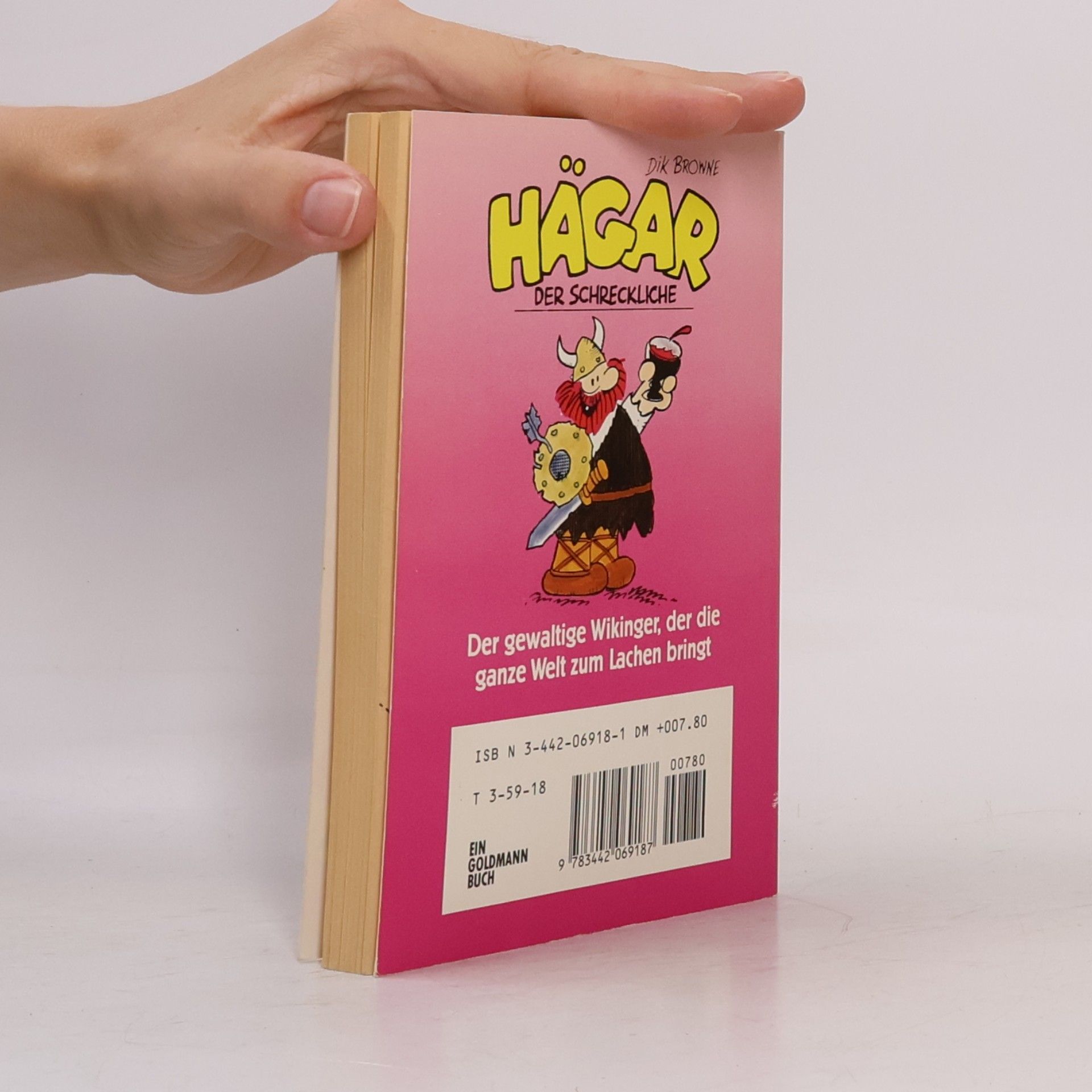 Dik Browne Hägar, der Schreckliche 11