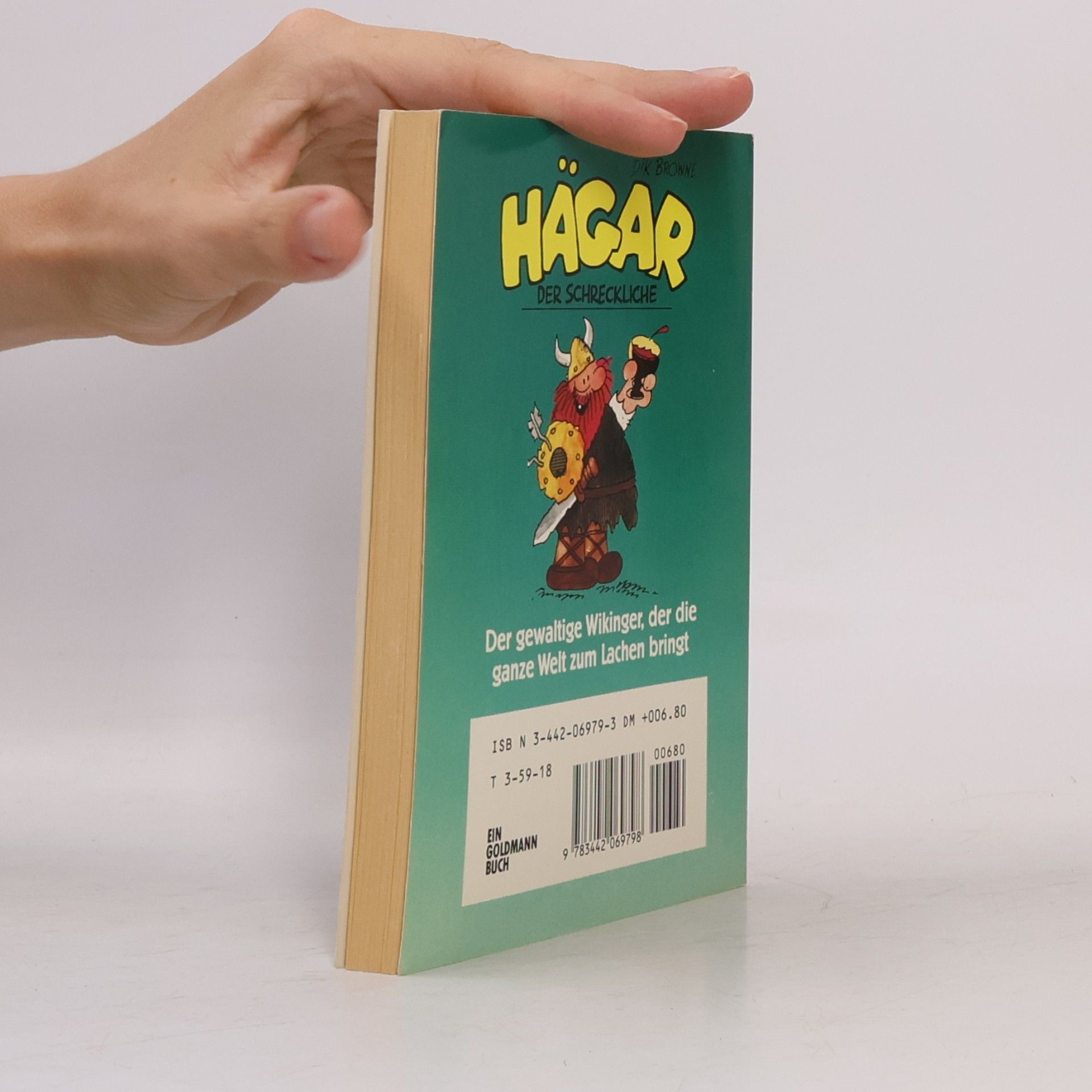 Dik Browne Hägar, der Schreckliche 6
