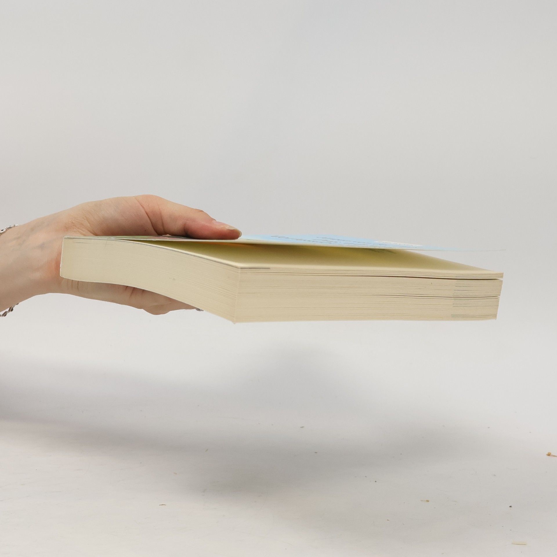 Jürgen von der Lippe Das witzigste Vorlesebuch der Welt