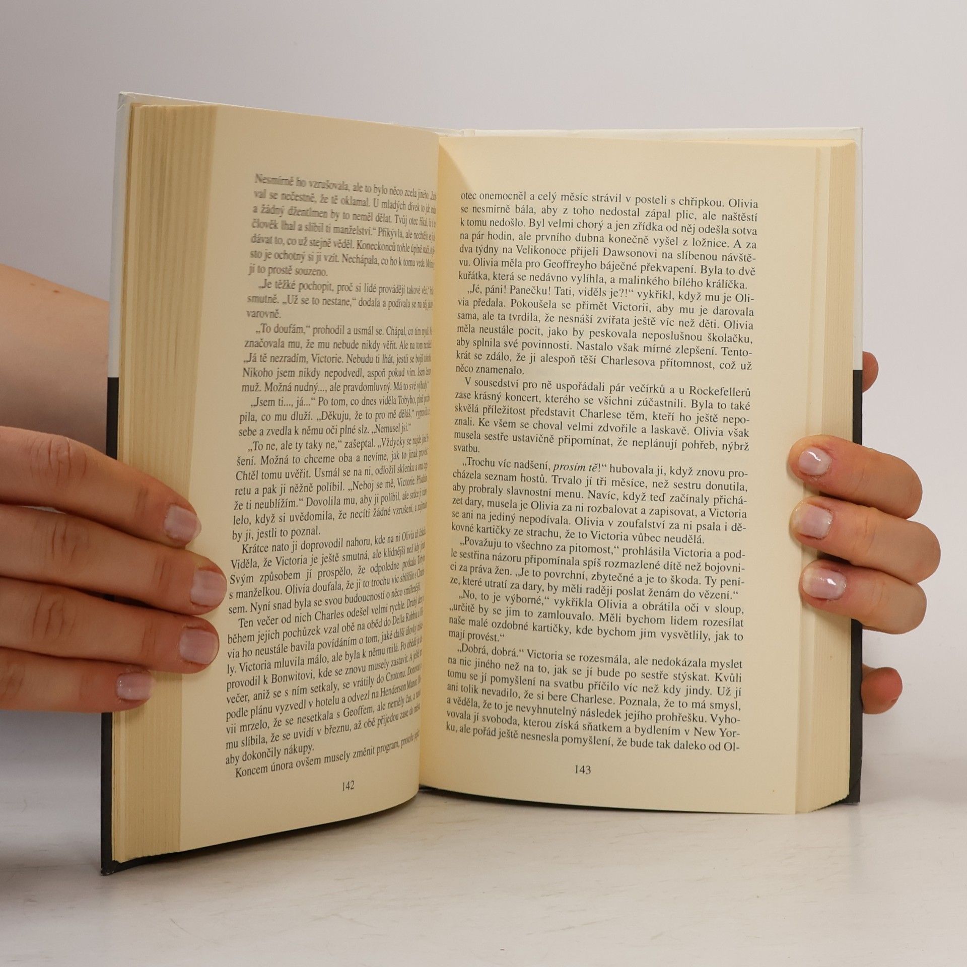 Danielle Steel Zrcadlový obraz