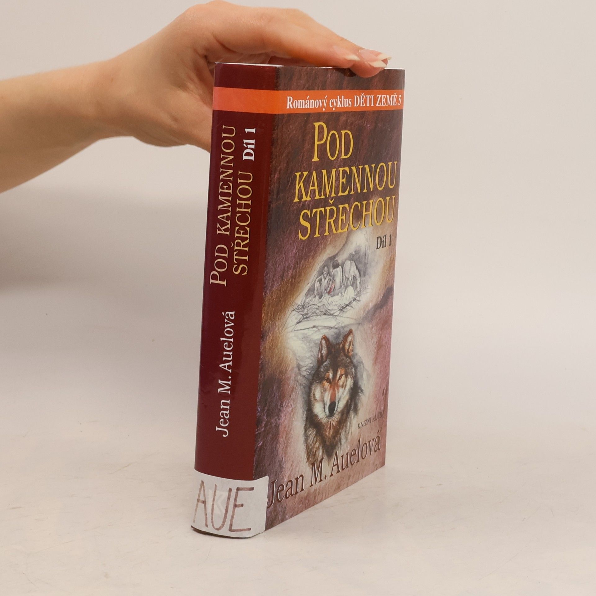 Jean M. Auelová Pod kamennou střechou 1