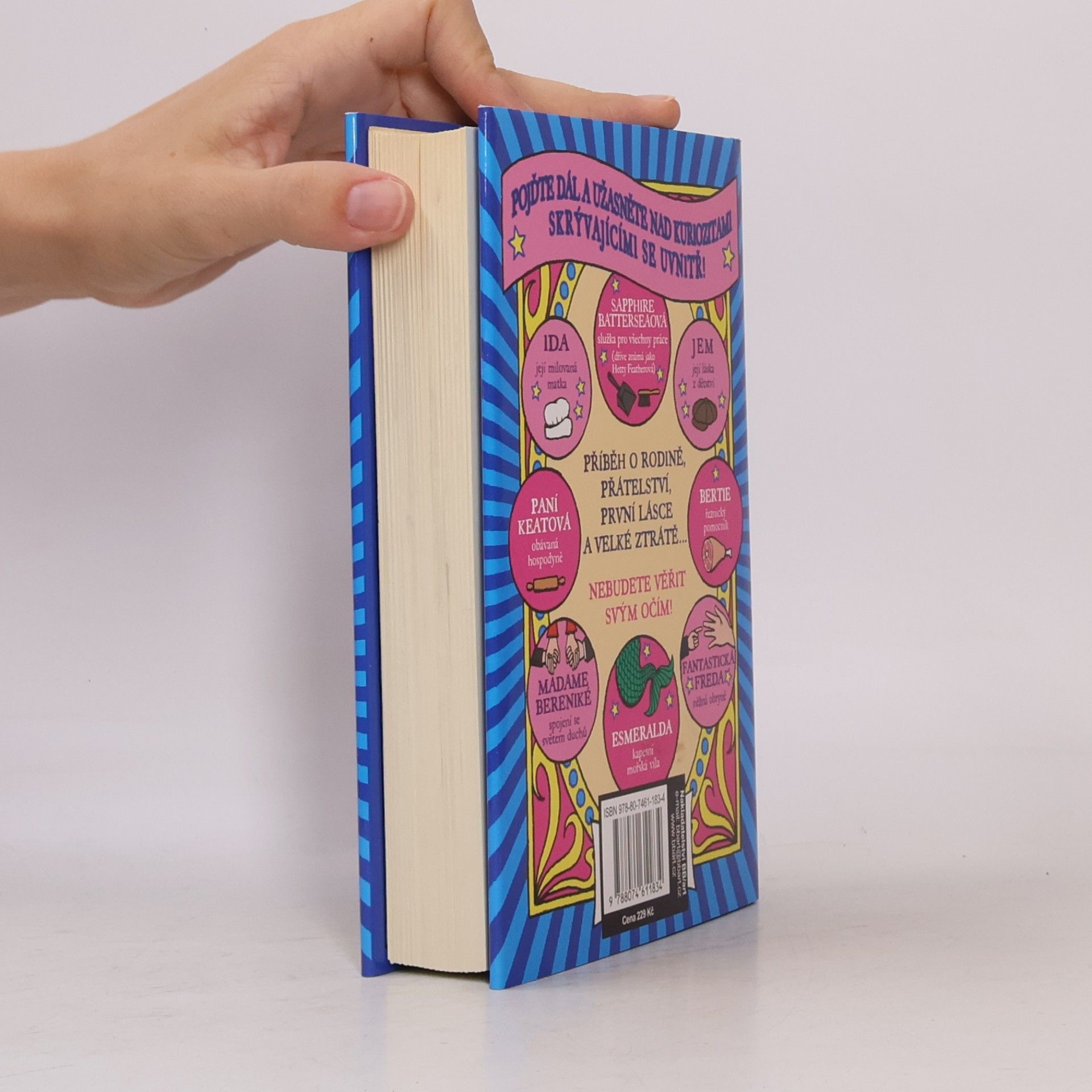 Jacqueline Wilson Konec snění