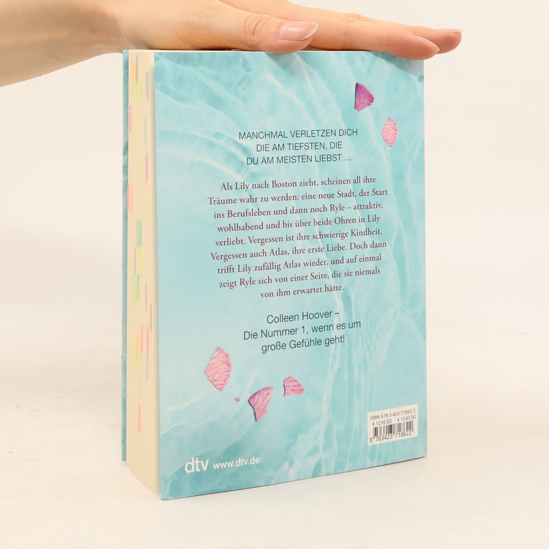 Colleen Hoover Nur noch ein einziges Mal