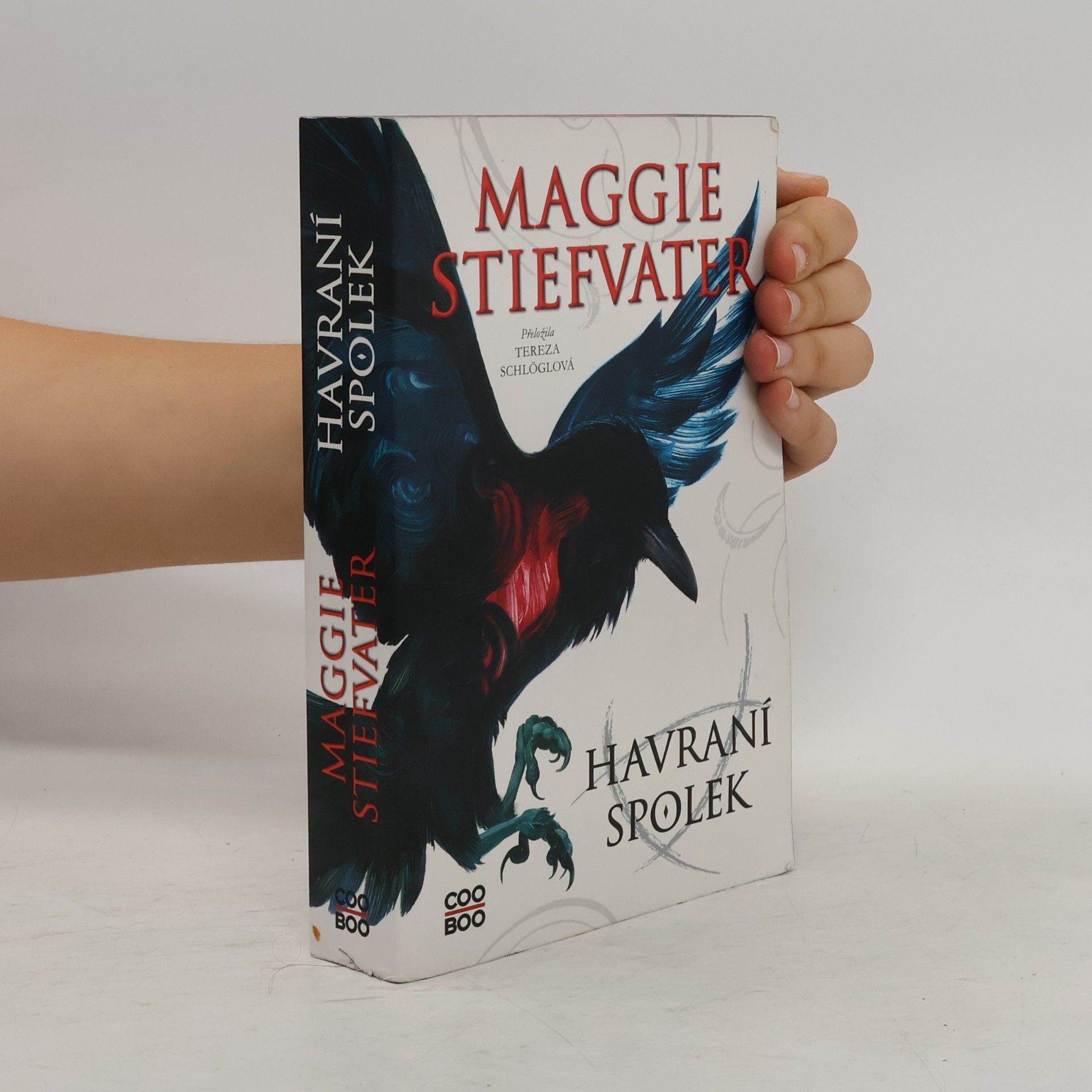Maggie Stiefvater Havraní spolek
