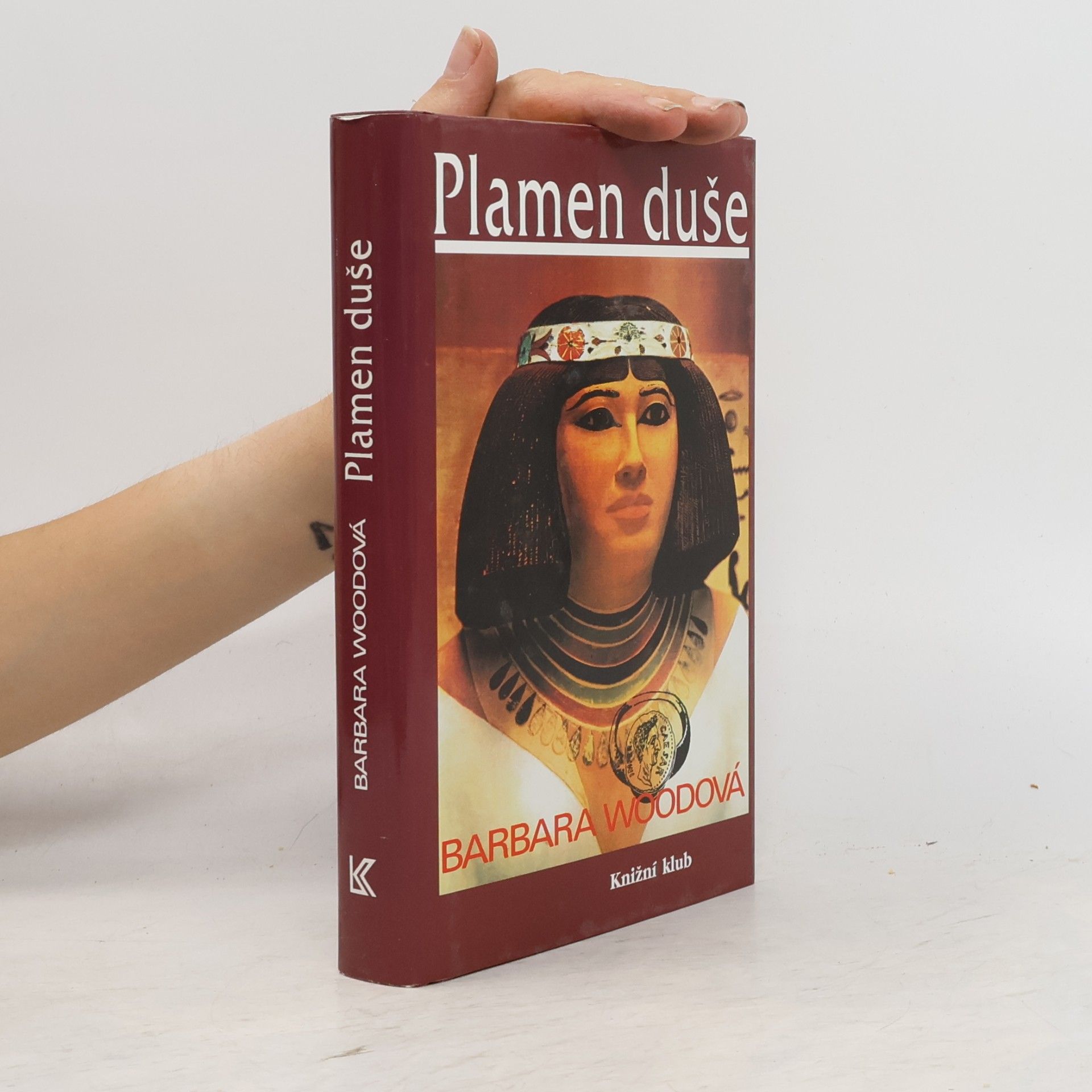 Barbara Wood Plamen duše
