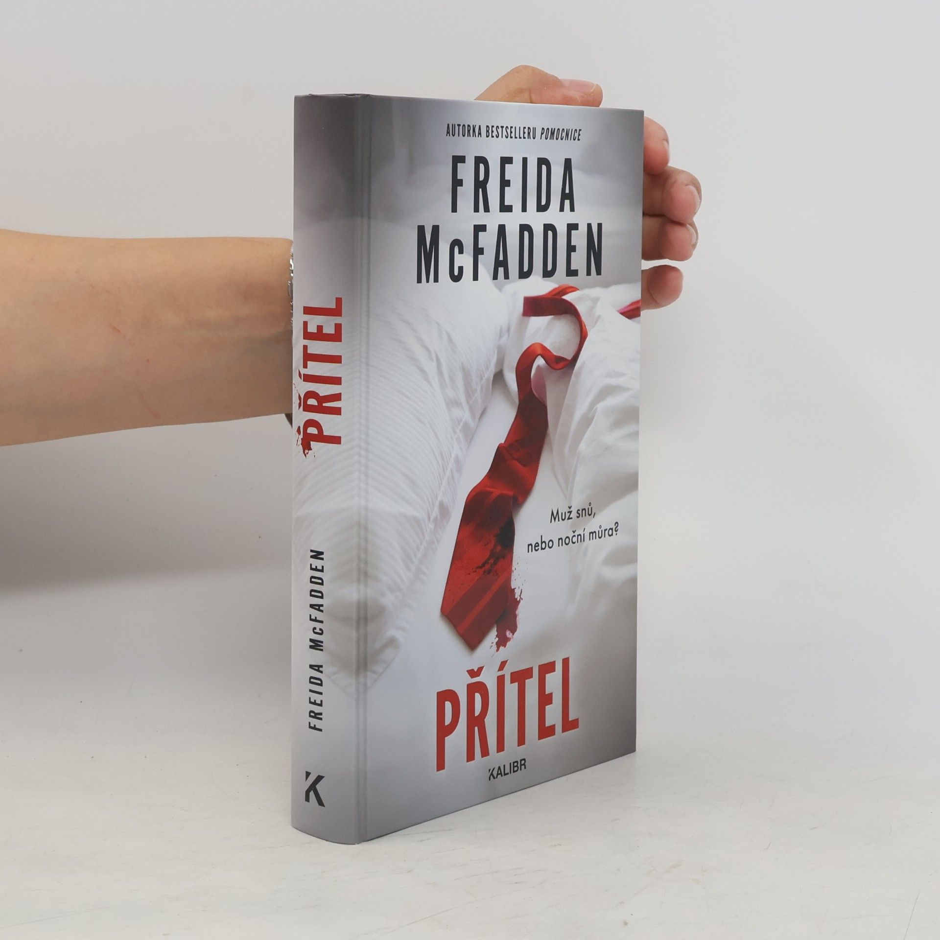 Freida McFaddenová Přítel