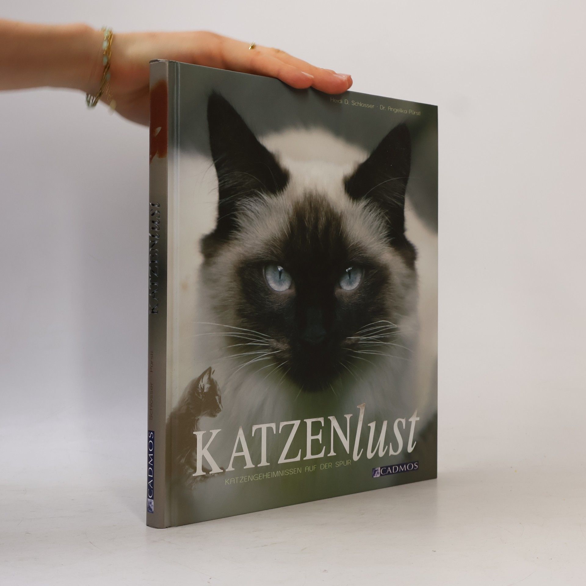 Heidi D. Schlosser Katzenlust