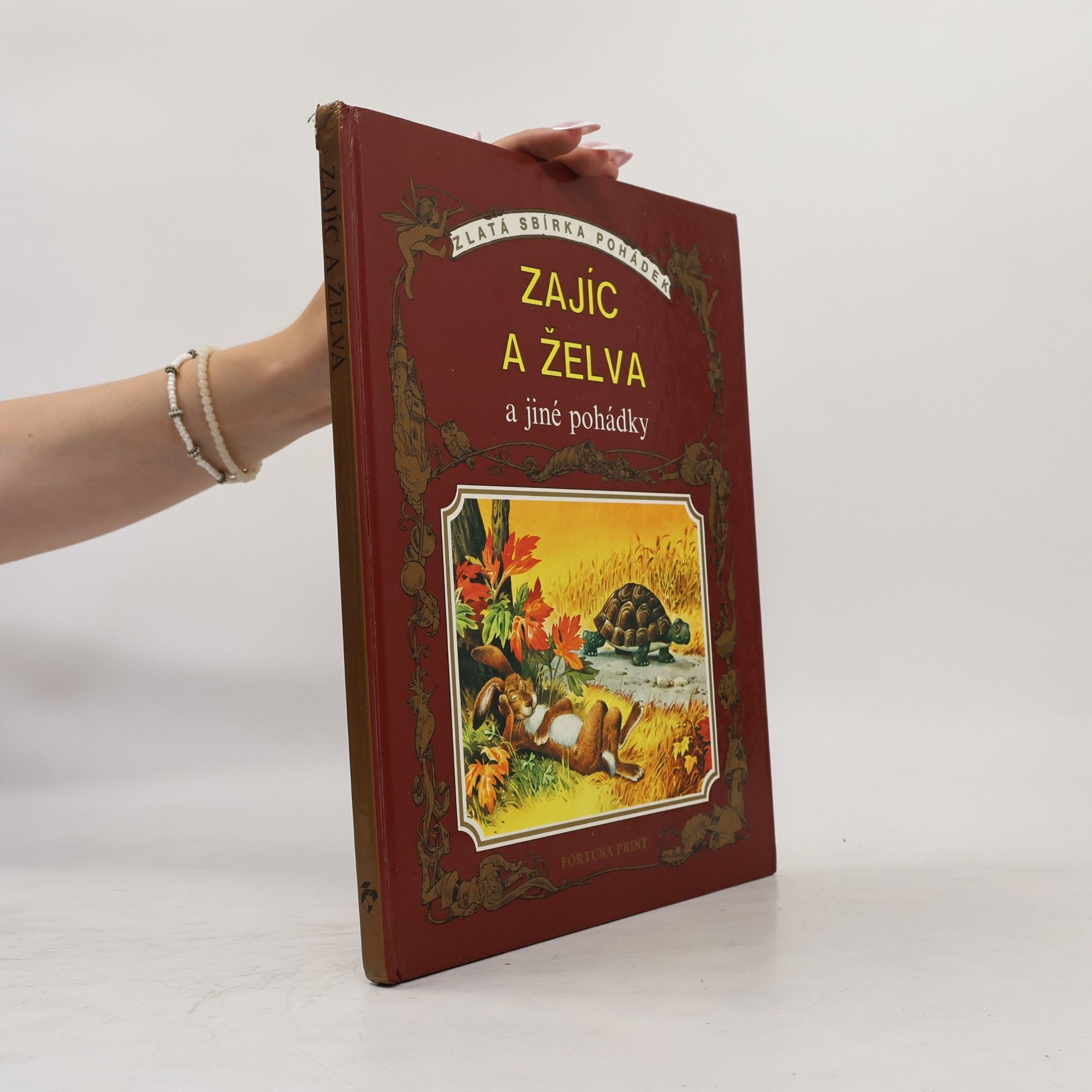 Collectif d'auteurs Zajíc a želva a jiné pohádky