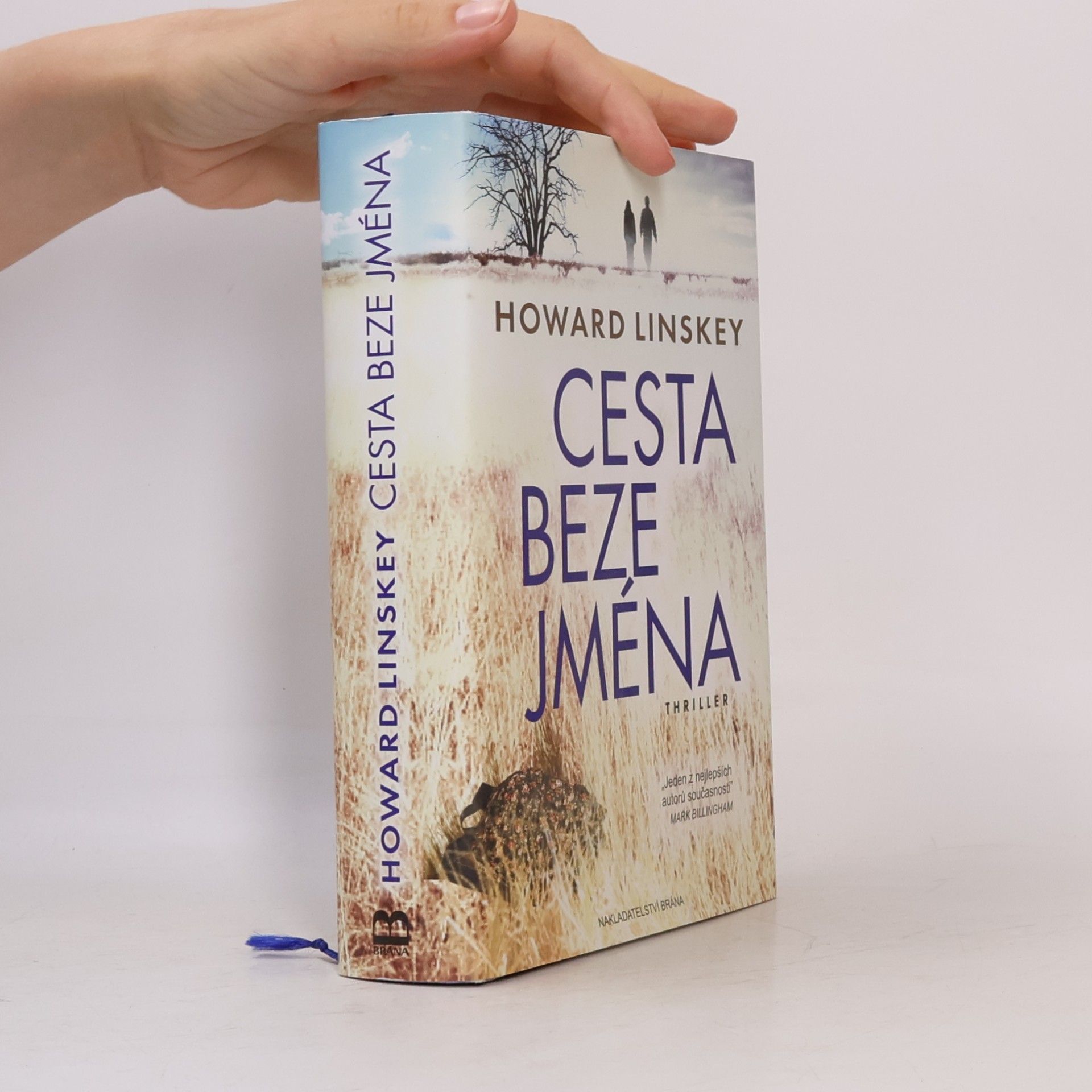 Howard Linskey Cesta beze jména