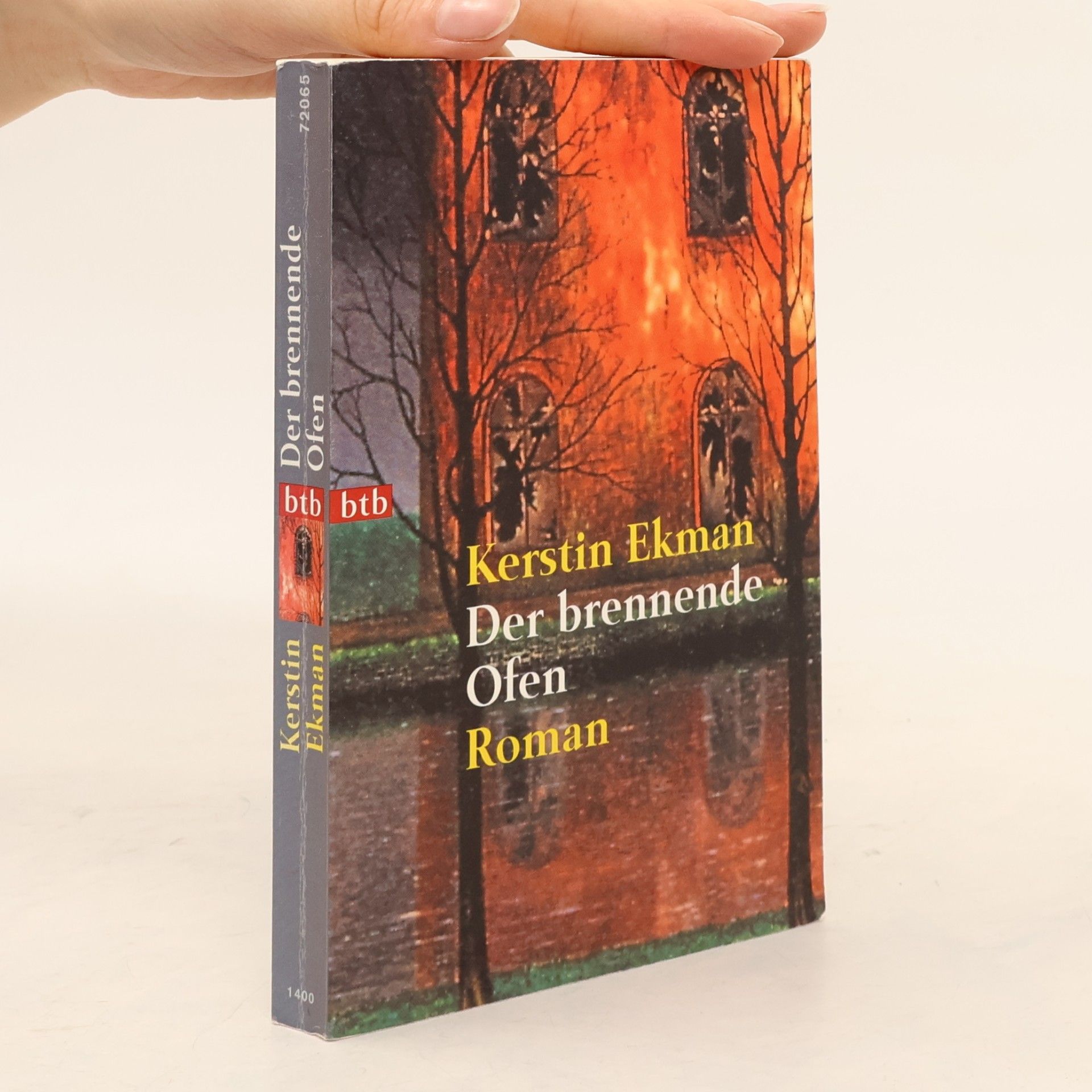 Kerstin Ekman Der brennende Ofen