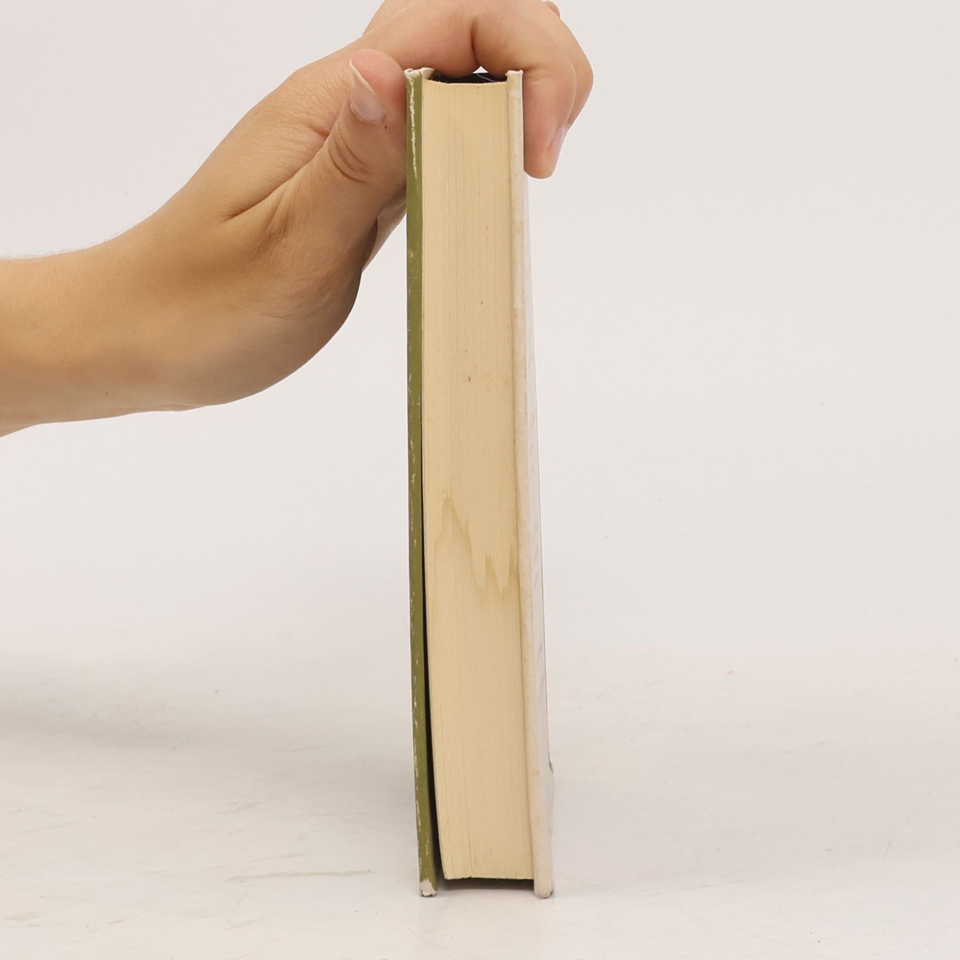 Kolektiv autorů Selected Modern English Essays