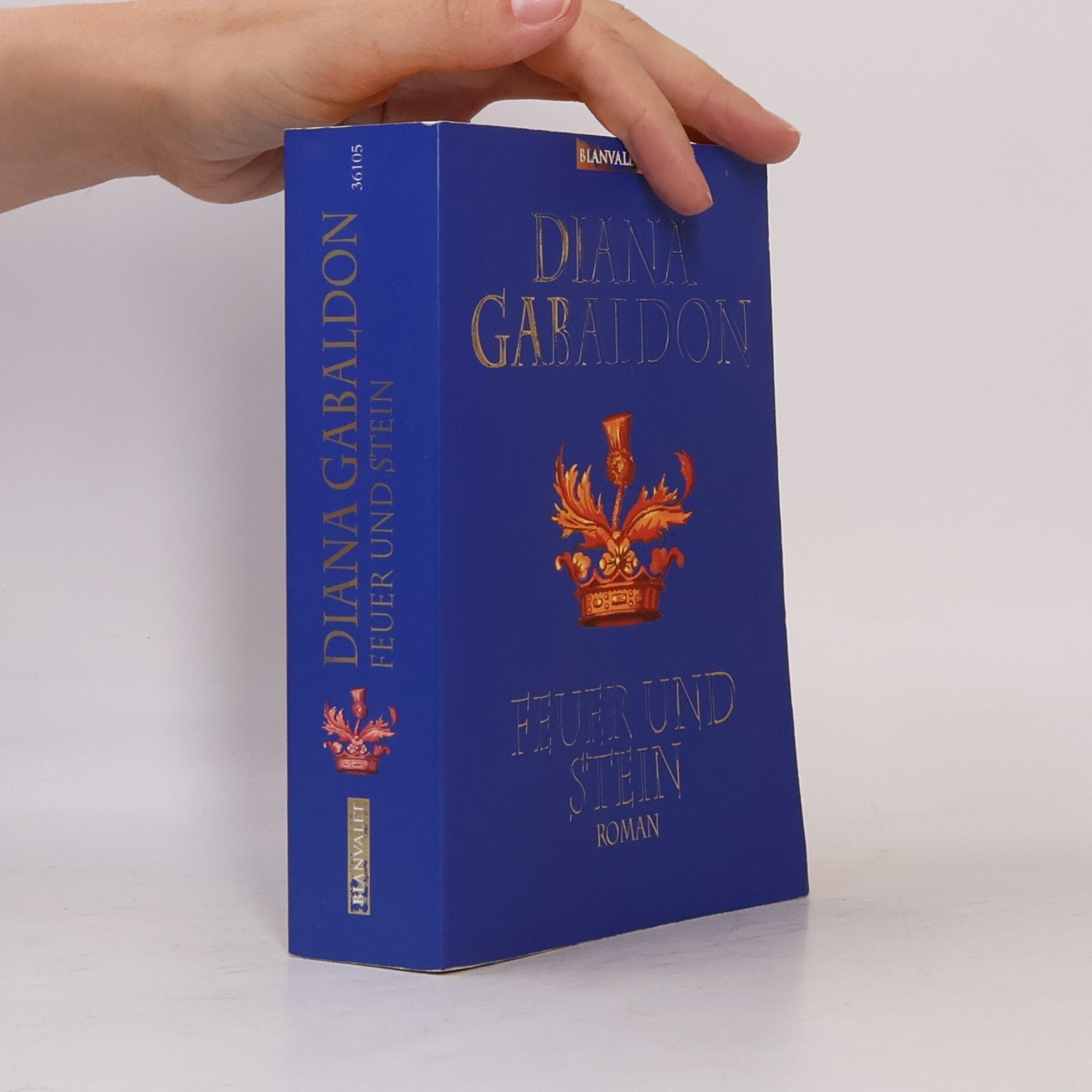 Diana Gabaldon Feuer und Stein