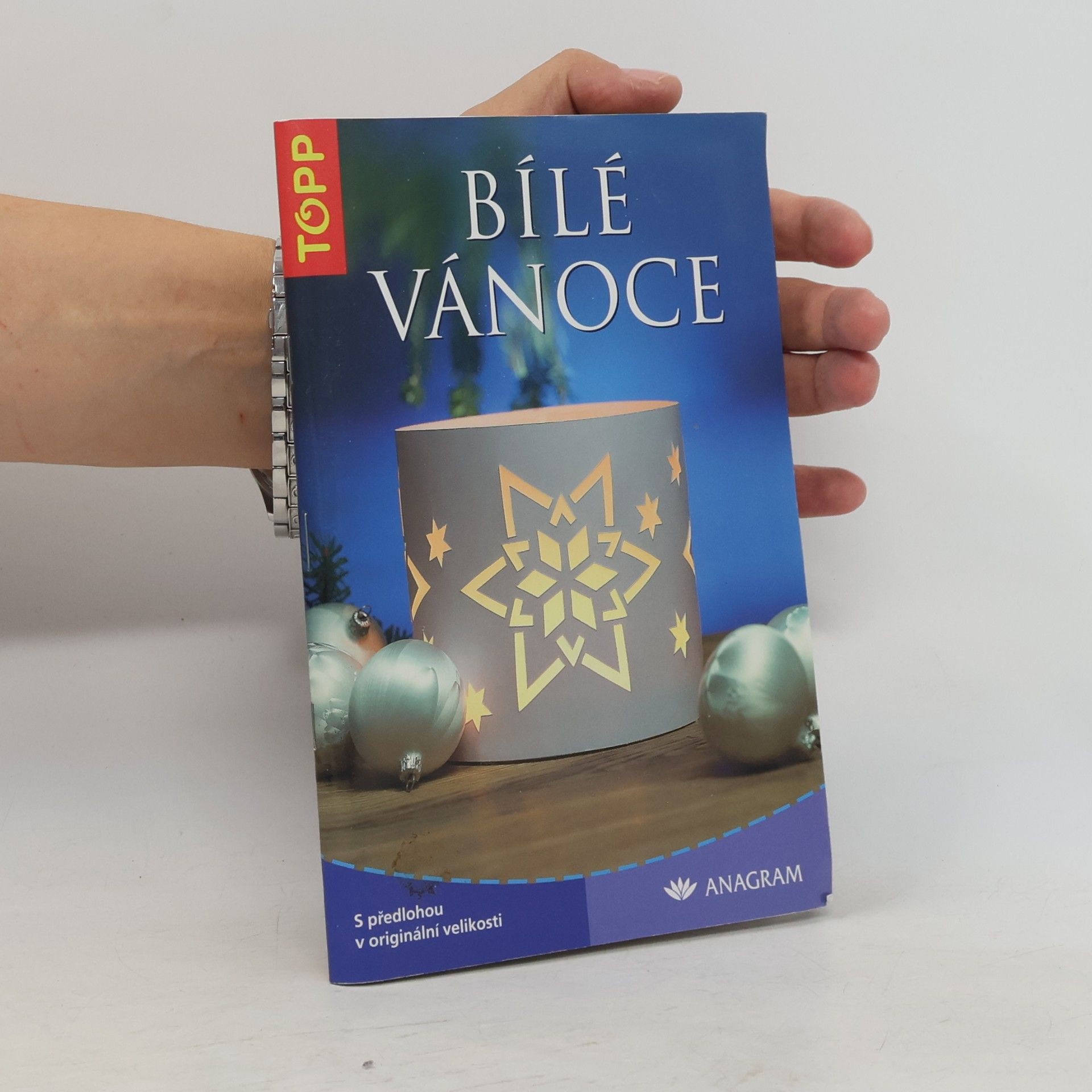 Angelika Kipp Bílé Vánoce