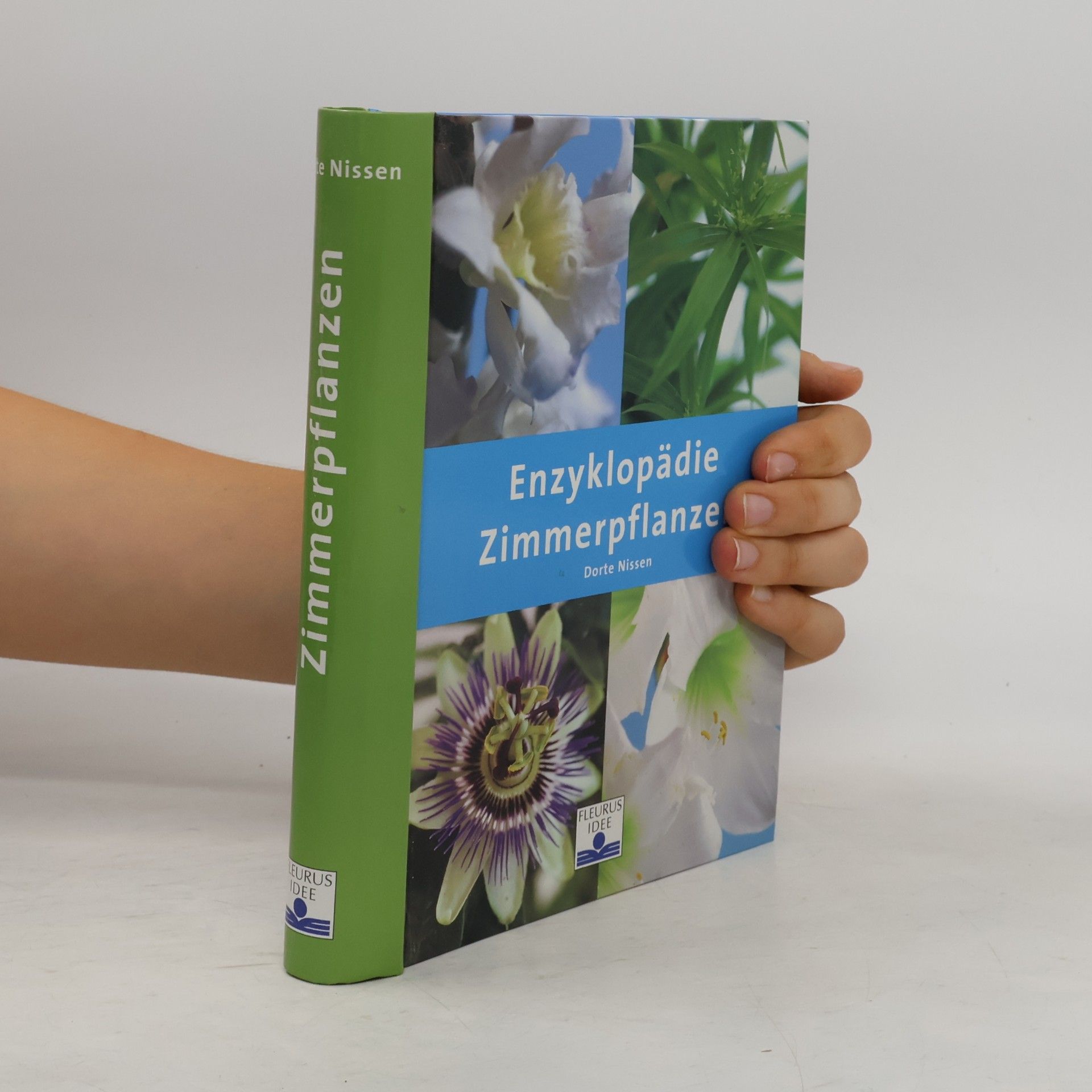 Dorte Nissen Zimmerpflanzen