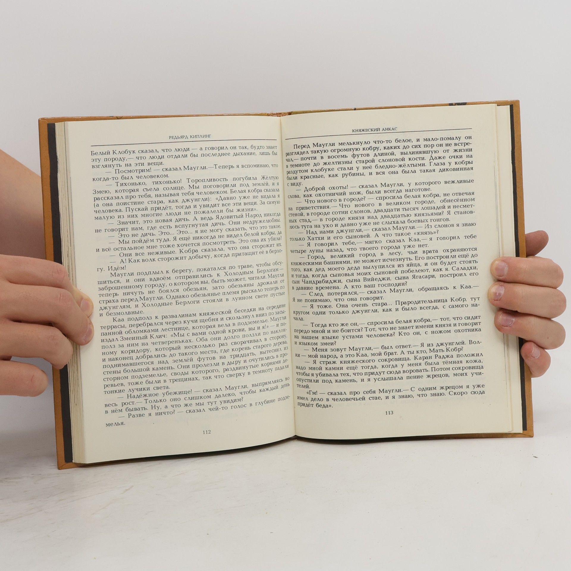Редьярд Киплинг Маугли (из «Книги Джунглей»)