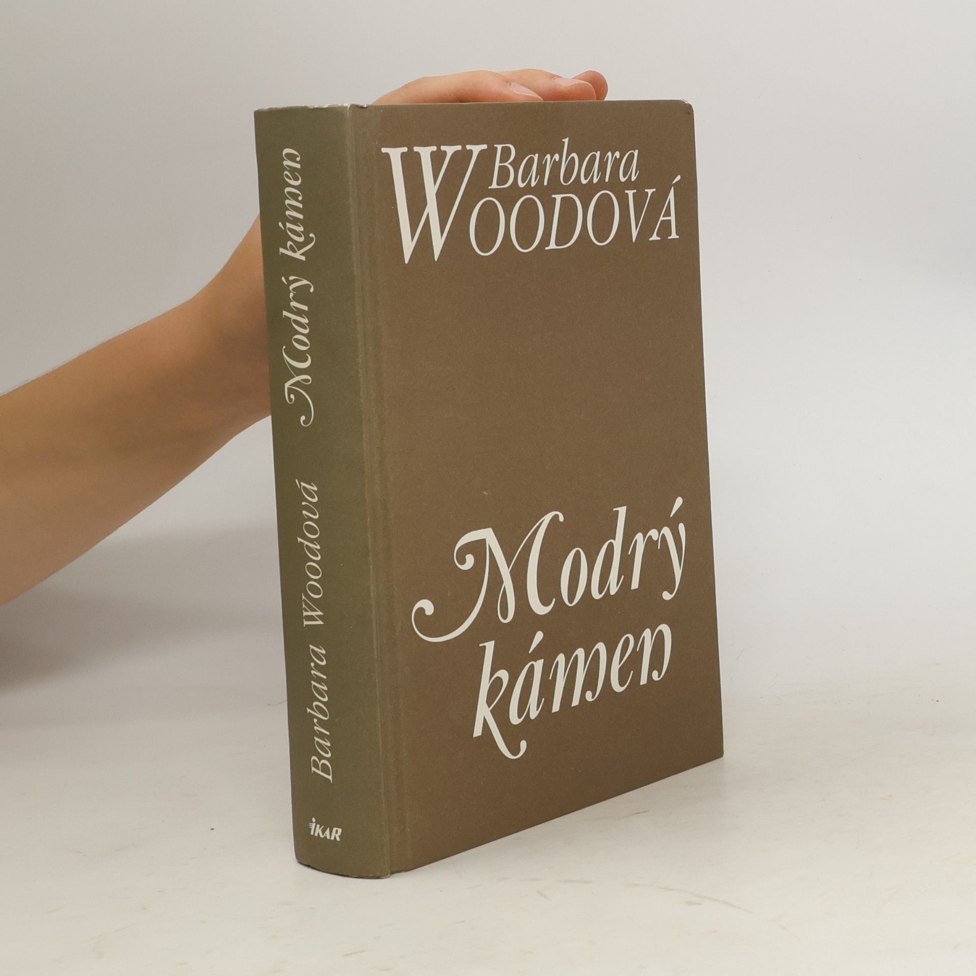 Barbara Wood Modrý kámen