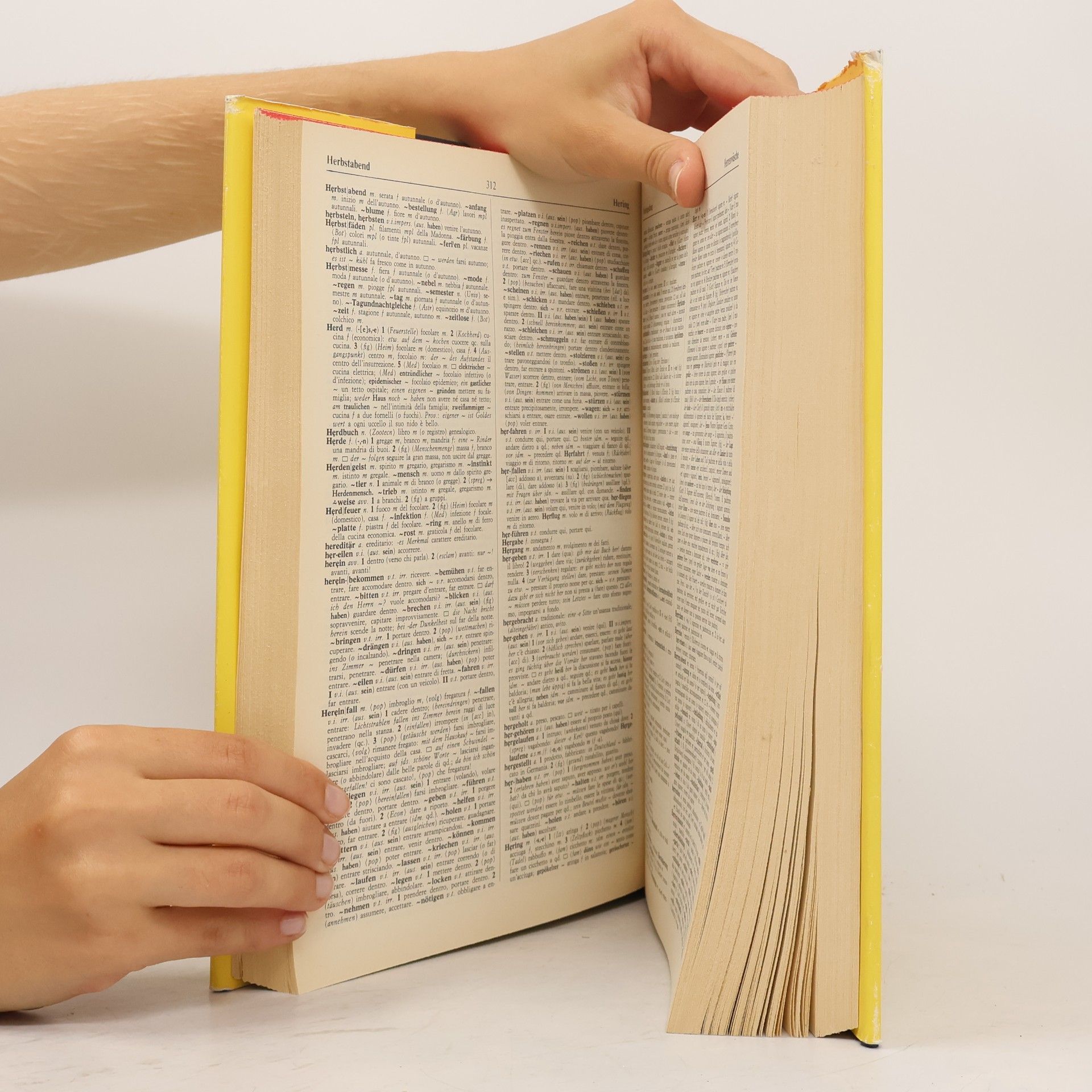 Autores varios Langenscheidts Großwörterbuch - Deutsch Italienisch